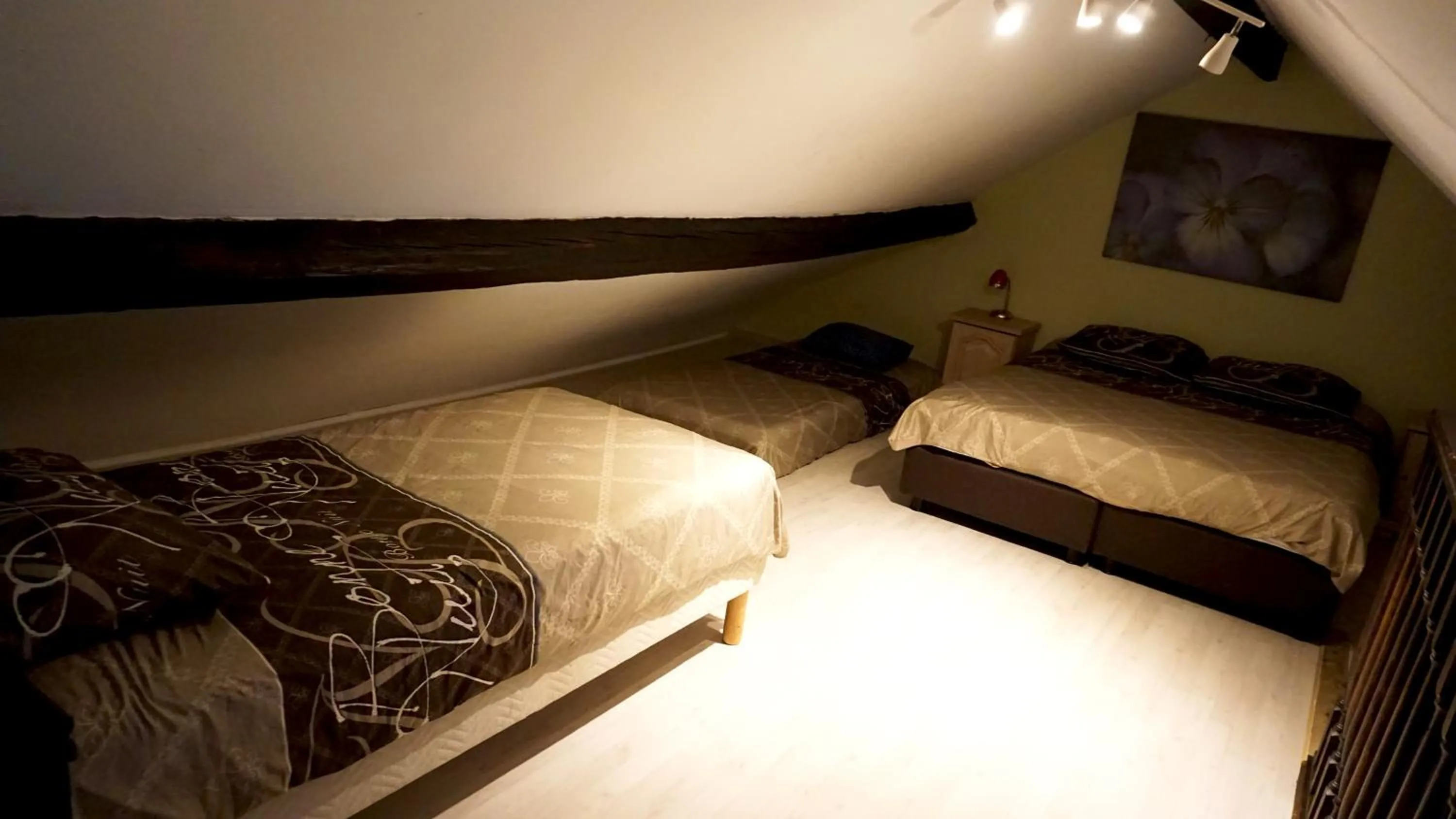 Bed in Apartments Marco Polo Midi