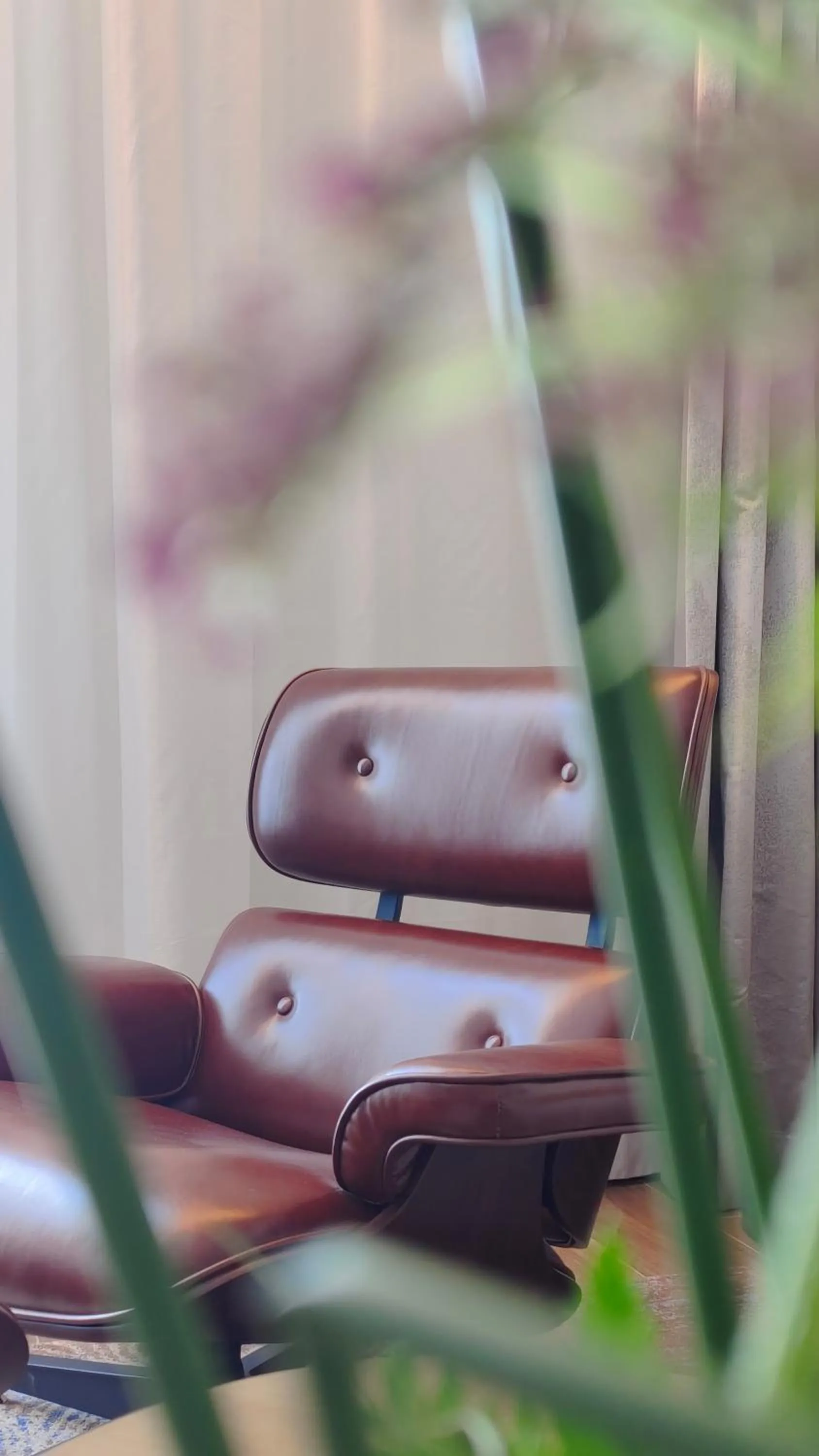 View (from property/room) in Oakwood Residence Foshan