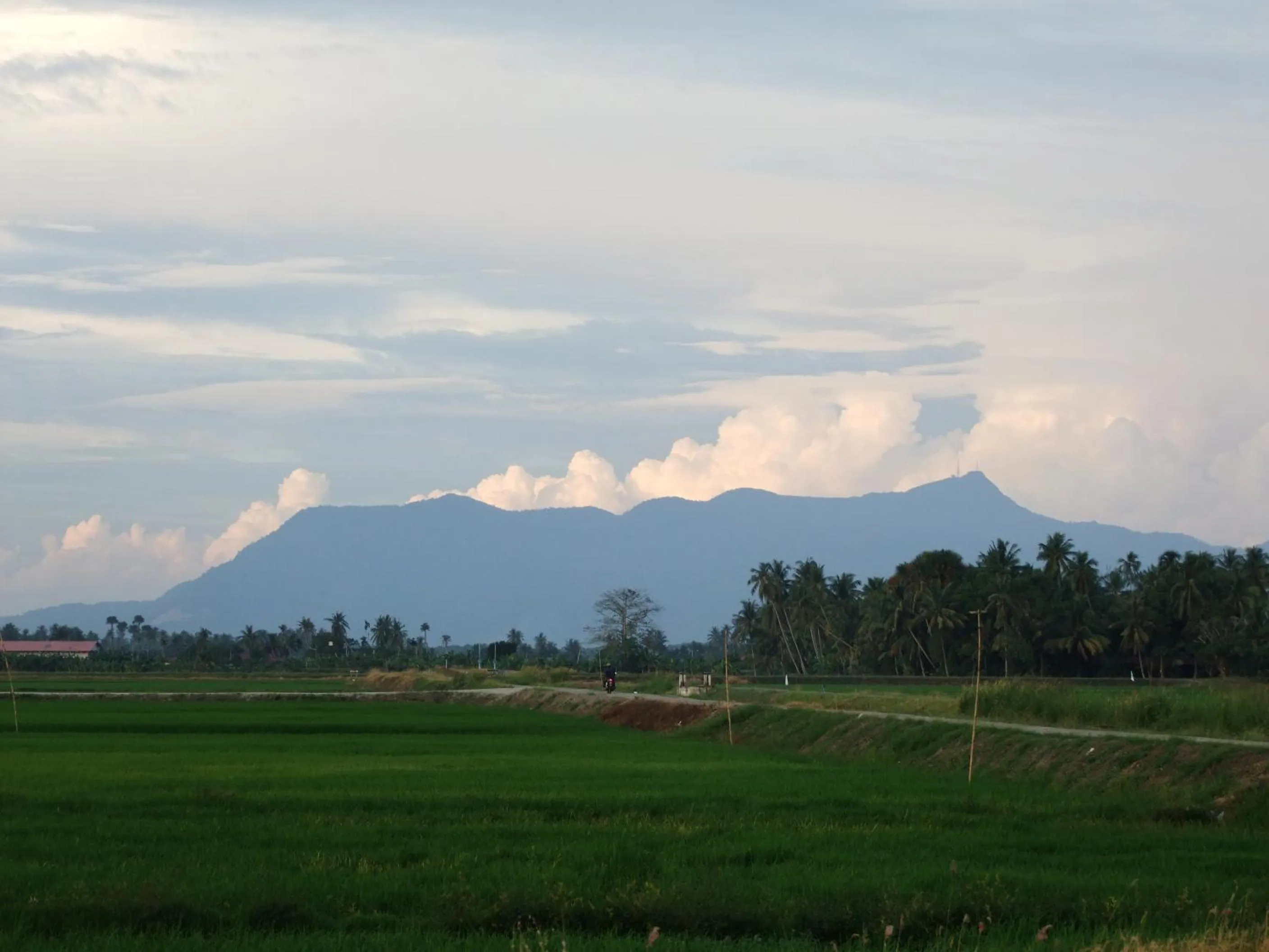 Garden in HOMESTAY Kampong KOTA AUR Resort with swimming pool, Kepala Batas, SEBERANG PERAI, PENANG -MOTAC registered Awarded ASEAN homestay standard Malaysia AWARD 2023-2028 Only 3 minutes from viral KG AGONG