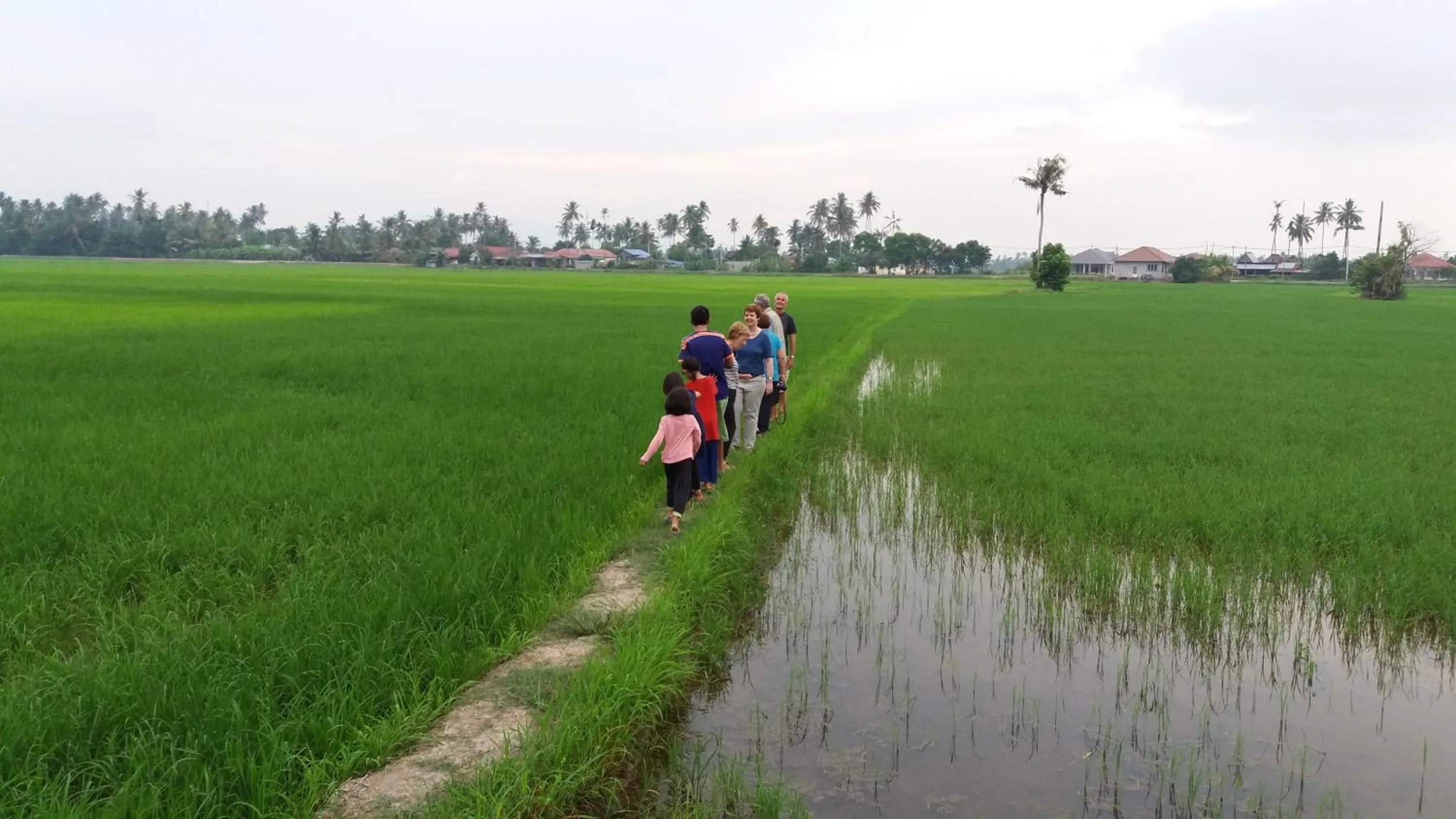 View (from property/room) in HOMESTAY Kampong KOTA AUR Resort with swimming pool, Kepala Batas, SEBERANG PERAI, PENANG -MOTAC registered Awarded ASEAN homestay standard Malaysia AWARD 2023-2028 Only 3 minutes from viral KG AGONG