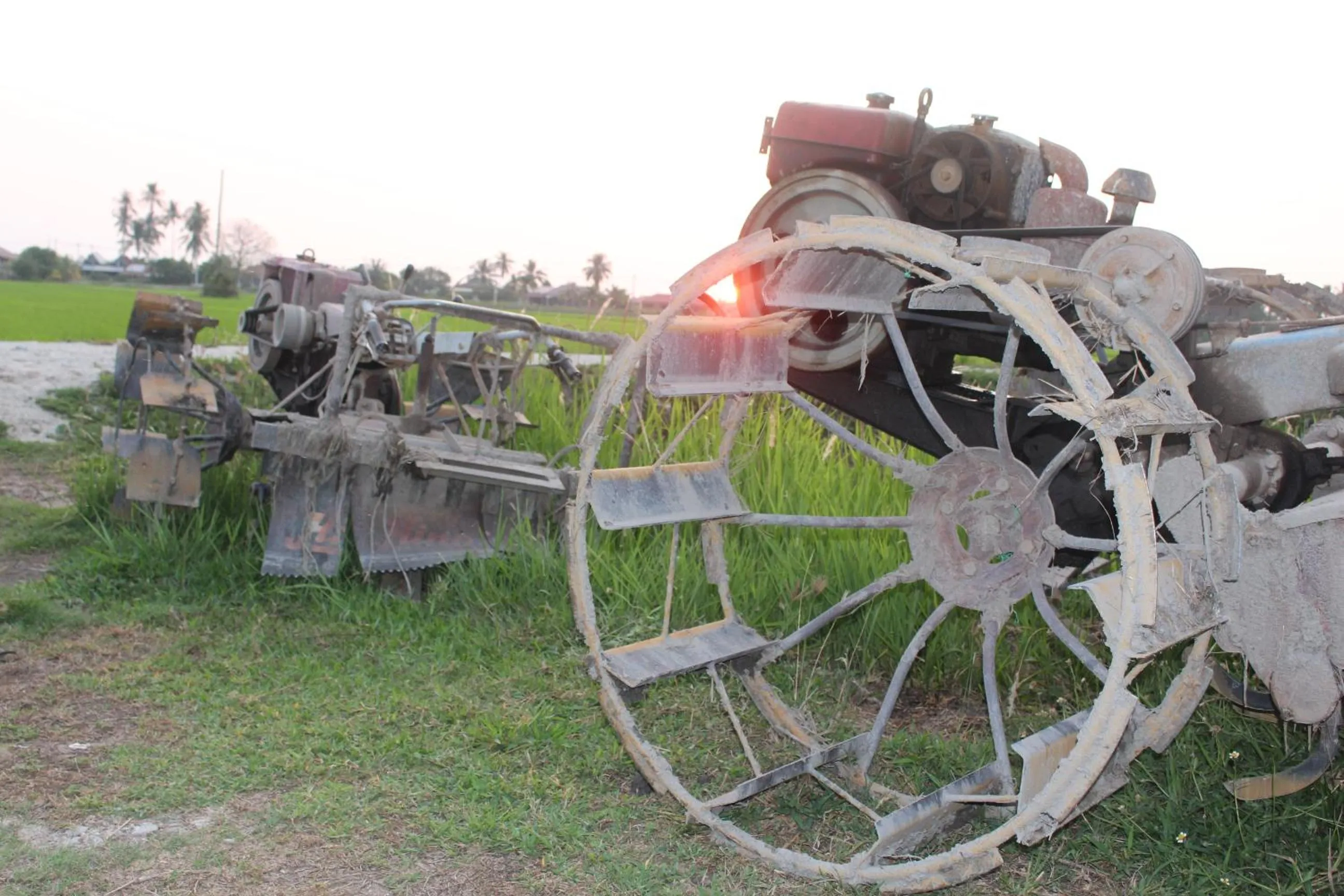 Sunset in HOMESTAY Kampong KOTA AUR Resort with swimming pool, Kepala Batas, SEBERANG PERAI, PENANG -MOTAC registered Awarded ASEAN homestay standard Malaysia AWARD 2023-2028 Only 3 minutes from viral KG AGONG