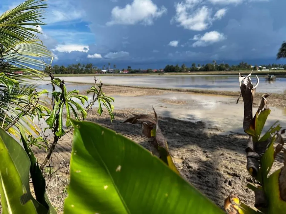 Garden in HOMESTAY Kampong KOTA AUR Resort with swimming pool, Kepala Batas, SEBERANG PERAI, PENANG -MOTAC registered Awarded ASEAN homestay standard Malaysia AWARD 2023-2028 Only 3 minutes from viral KG AGONG