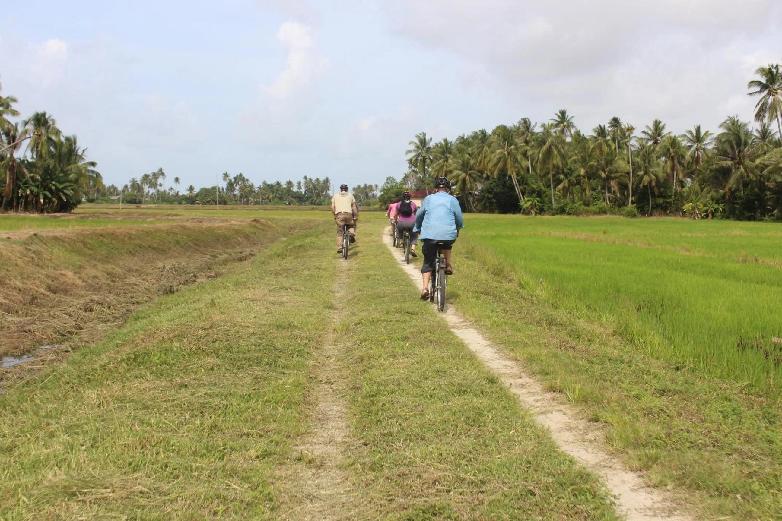 Neighbourhood in HOMESTAY Kampong KOTA AUR Resort with swimming pool, Kepala Batas, SEBERANG PERAI, PENANG -MOTAC registered Awarded ASEAN homestay standard Malaysia AWARD 2023-2028 Only 3 minutes from viral KG AGONG