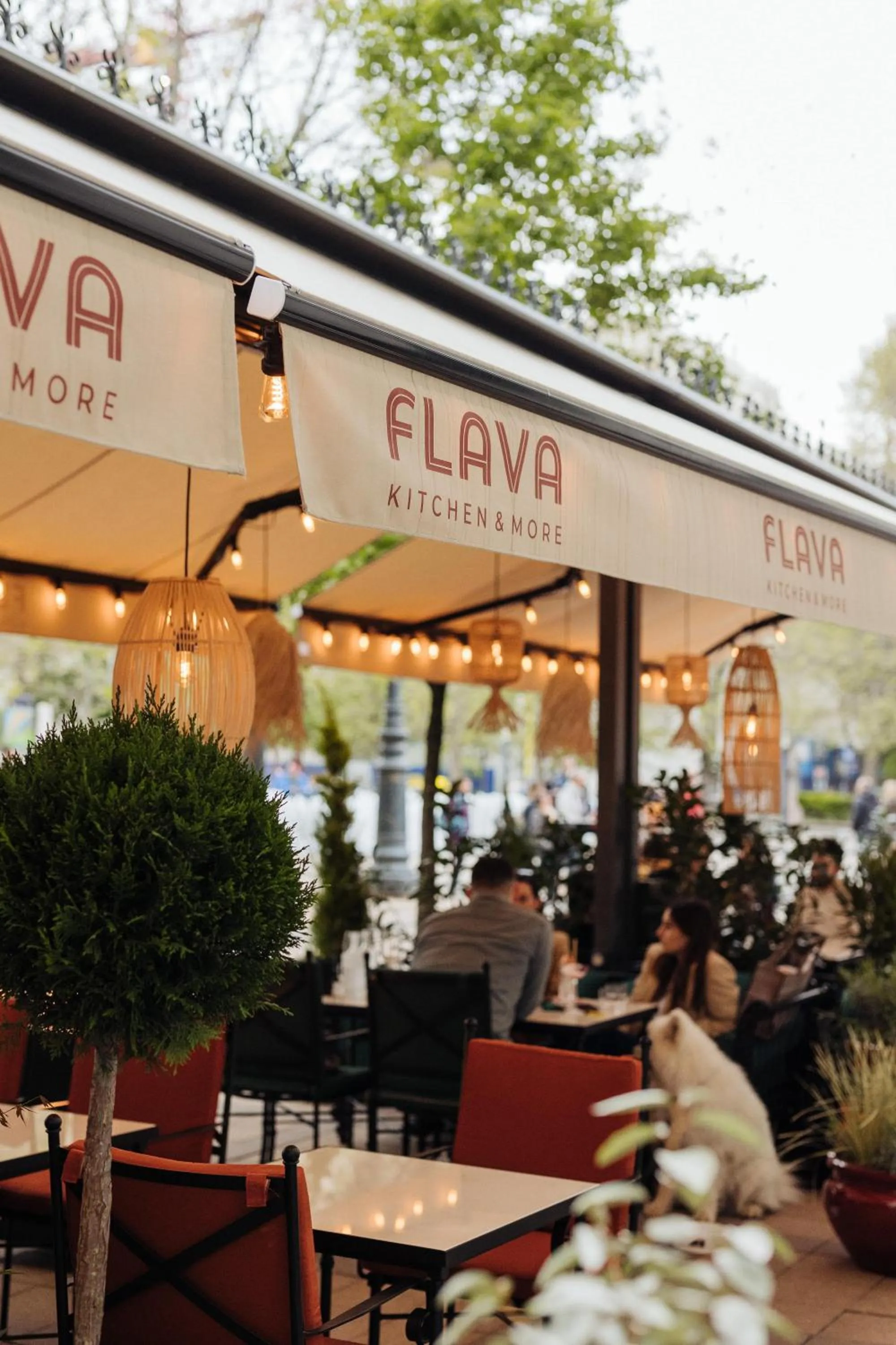 Restaurant/places to eat in Verno House Budapest, Vignette Collection by IHG