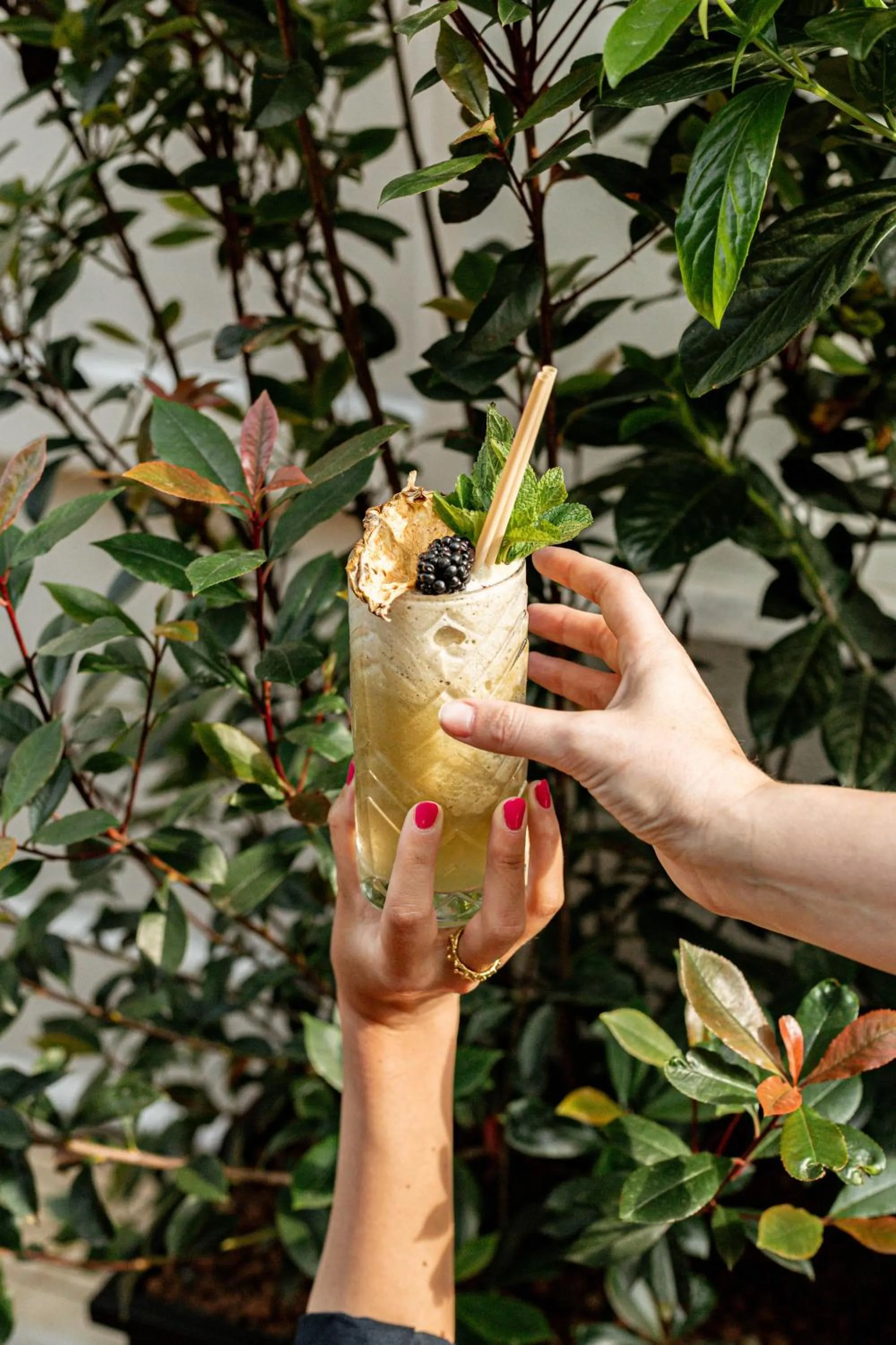 Natural landscape in Verno House Budapest, Vignette Collection by IHG