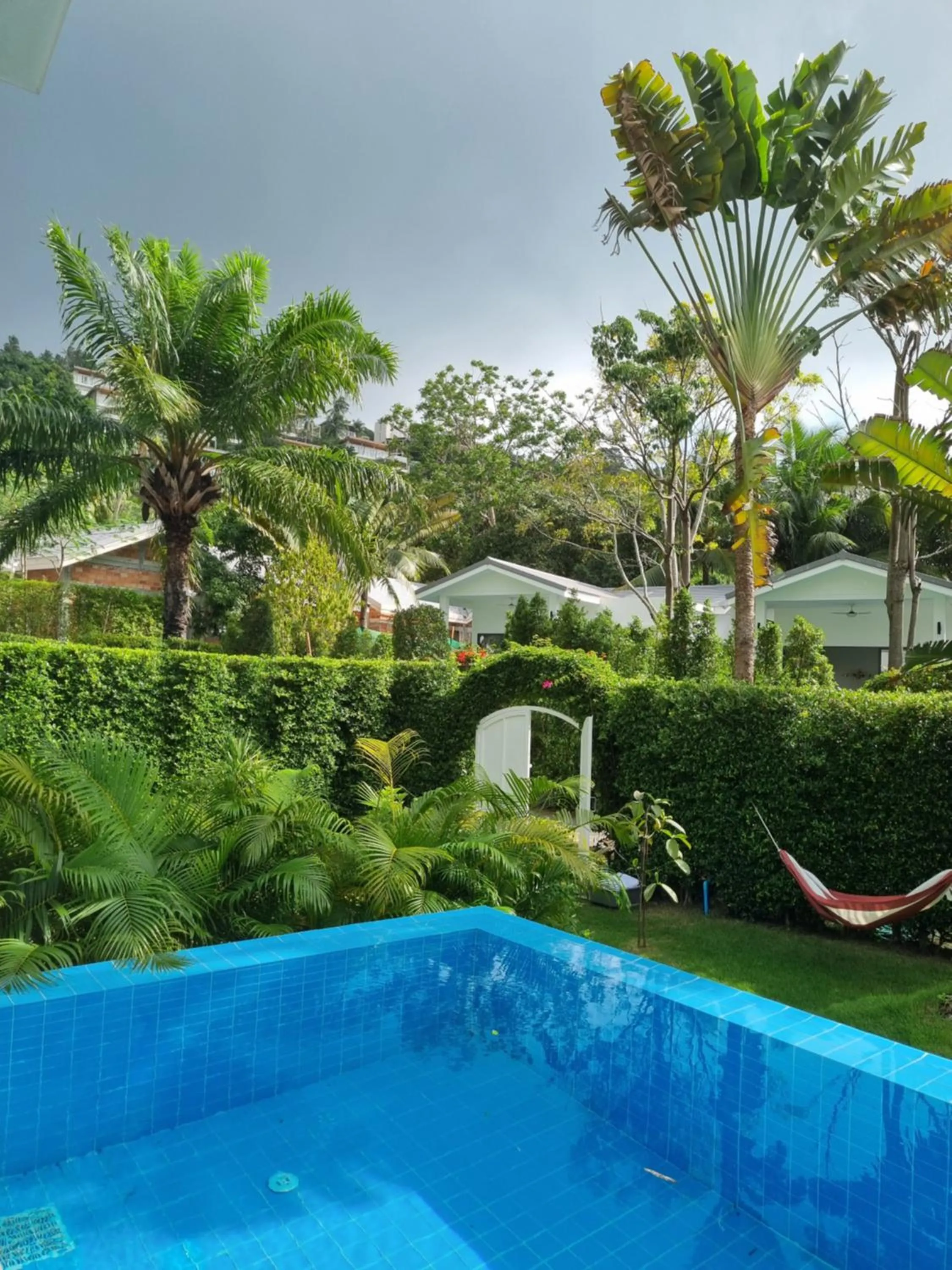 Day in Bougain Villas