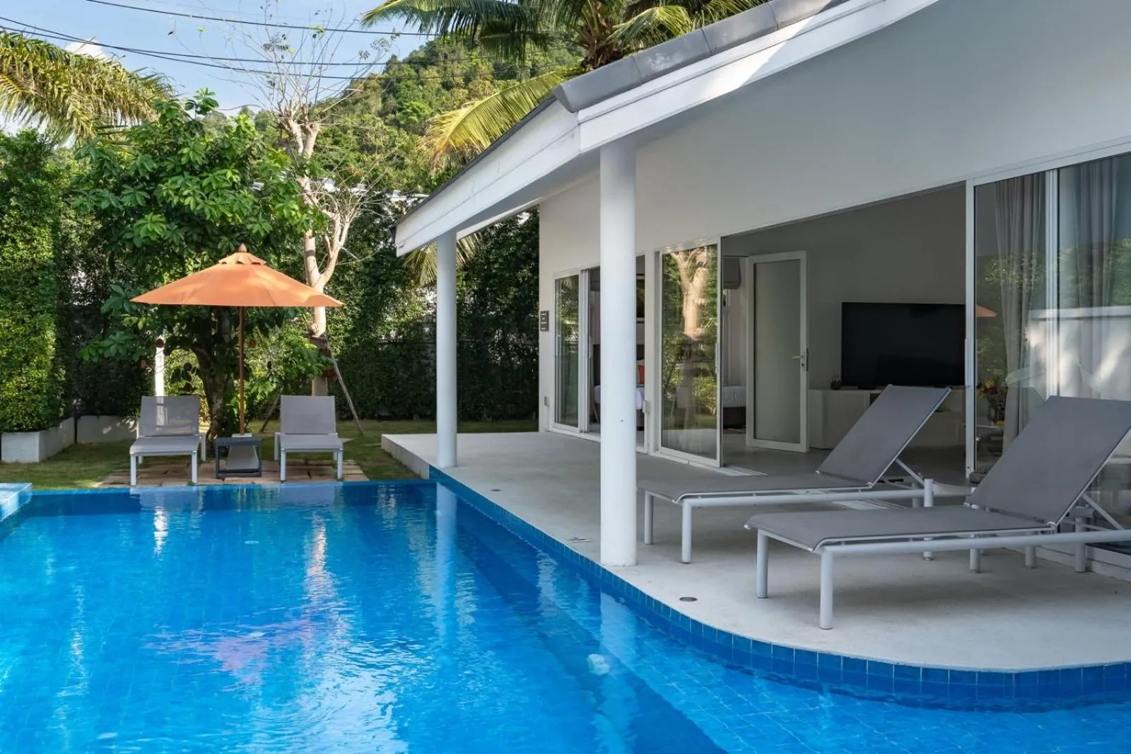 Day in Bougain Villas