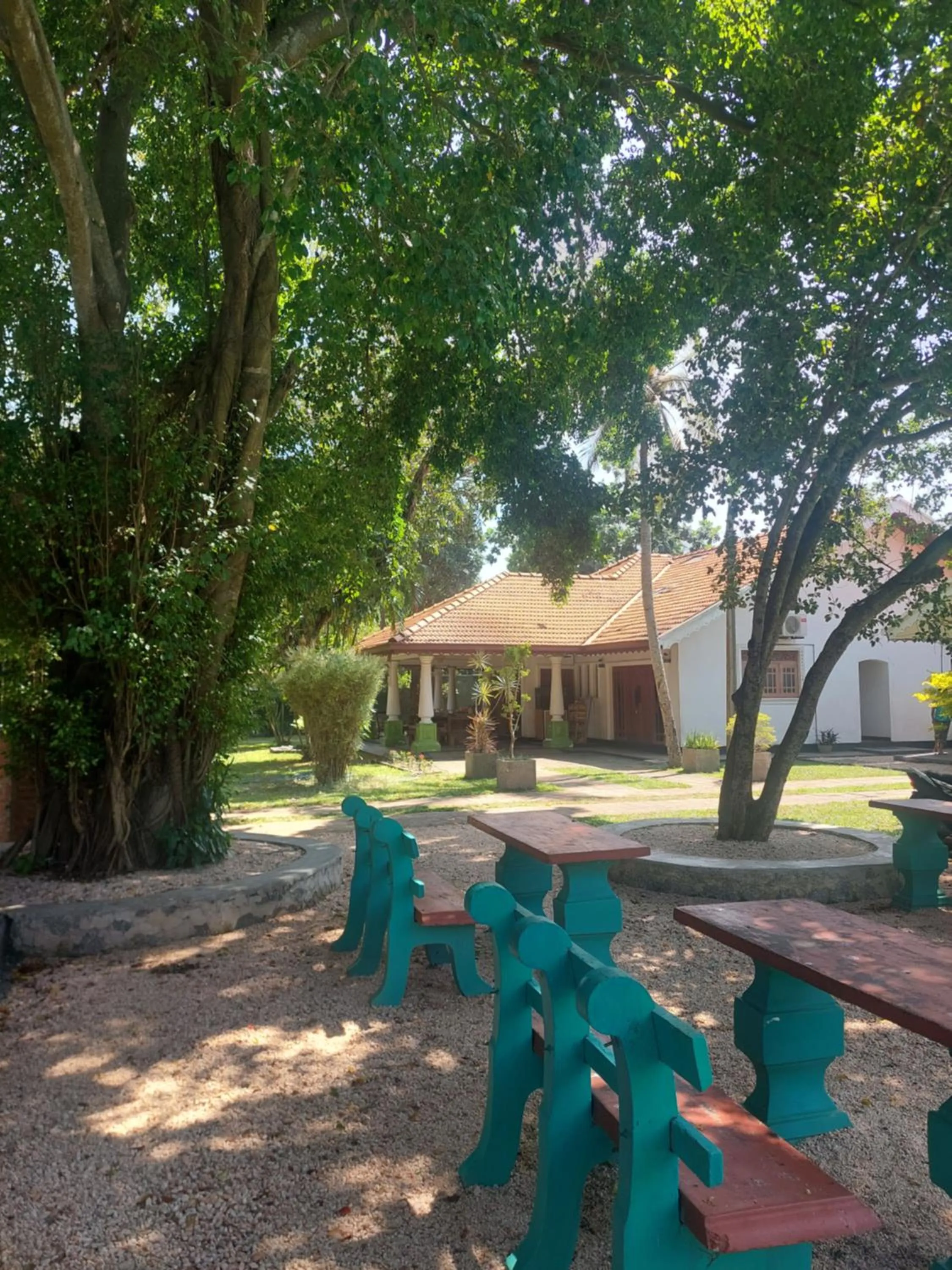 Natural landscape in Green Light Holiday Village