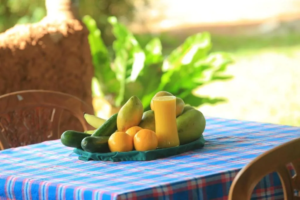 Day in Green Light Holiday Village