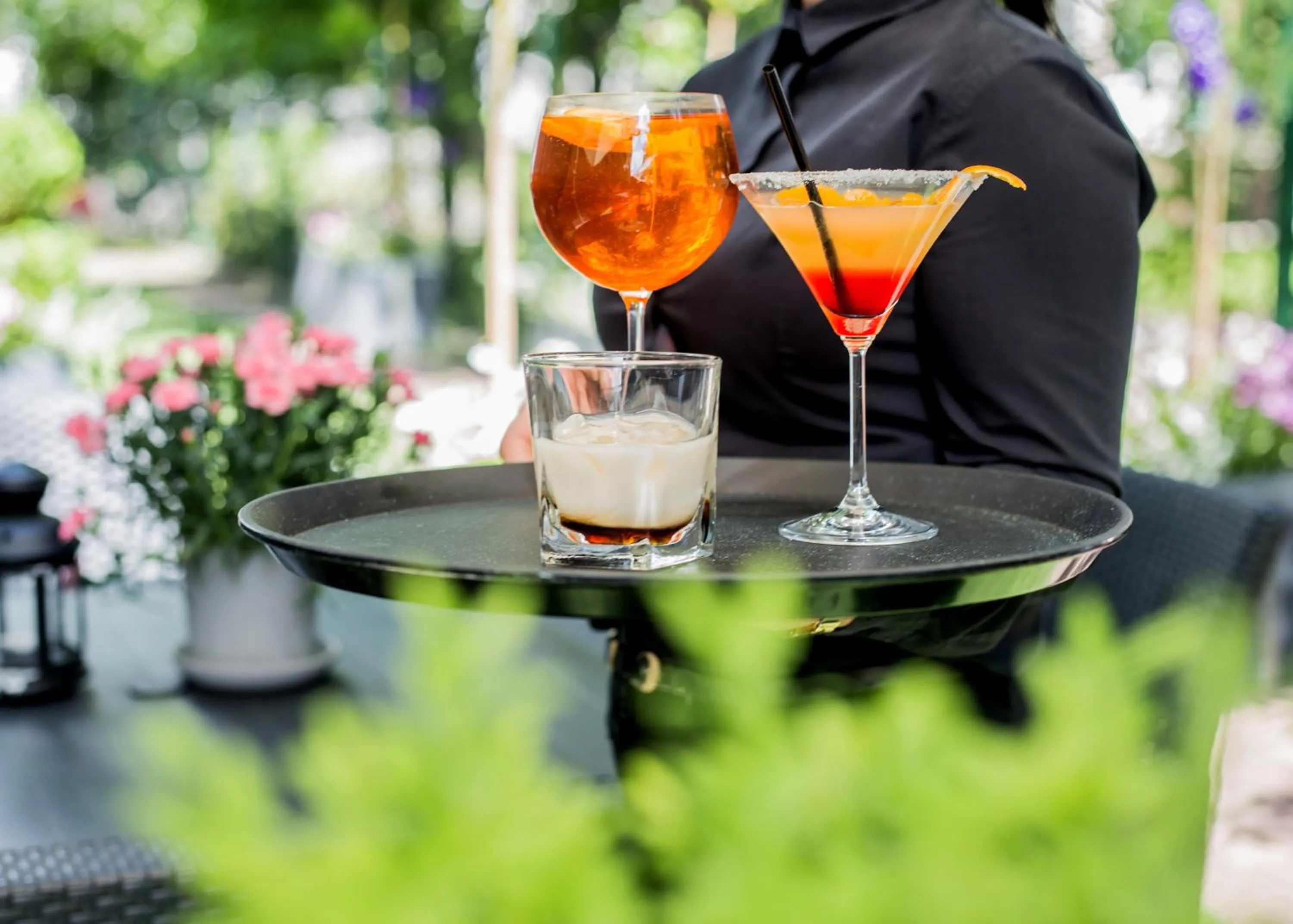 Garden in Hotel Apis