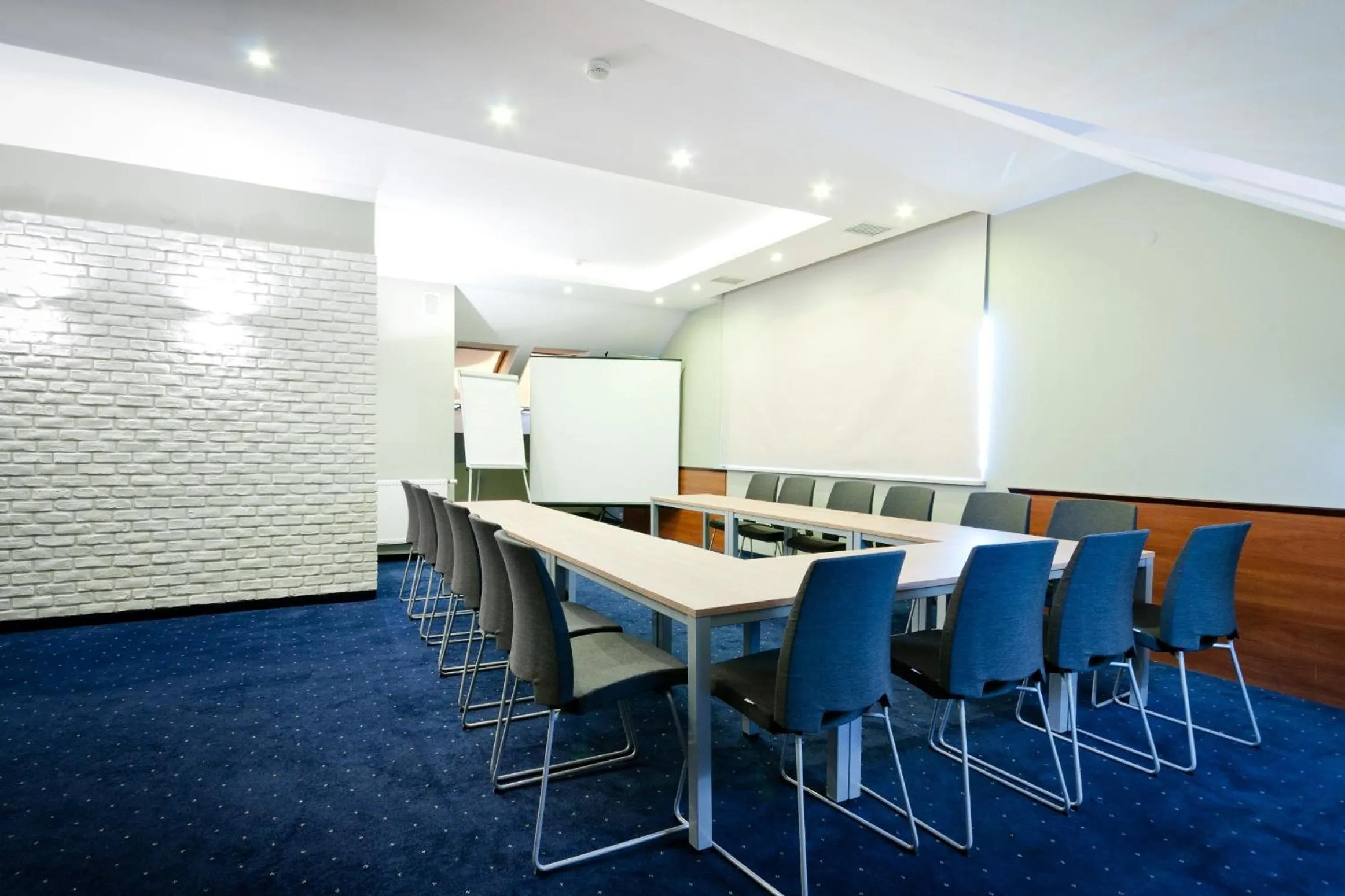 Business facilities in Hotel Apis