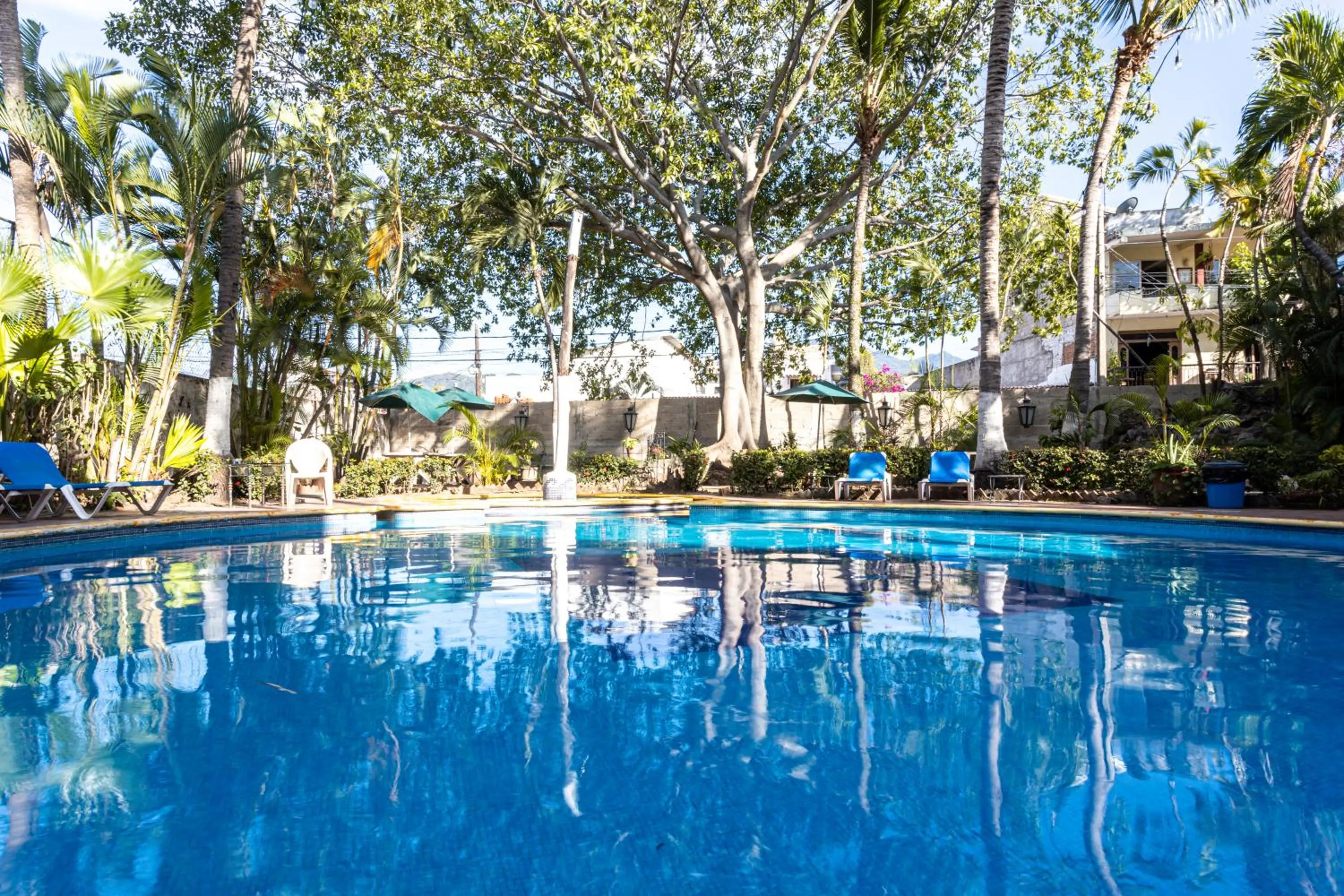 Day in Soy Local Puerto Vallarta