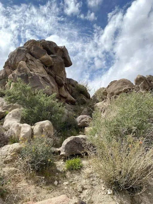 Cozy Rustic Home minutes to Joshua Tree Nat'l Park