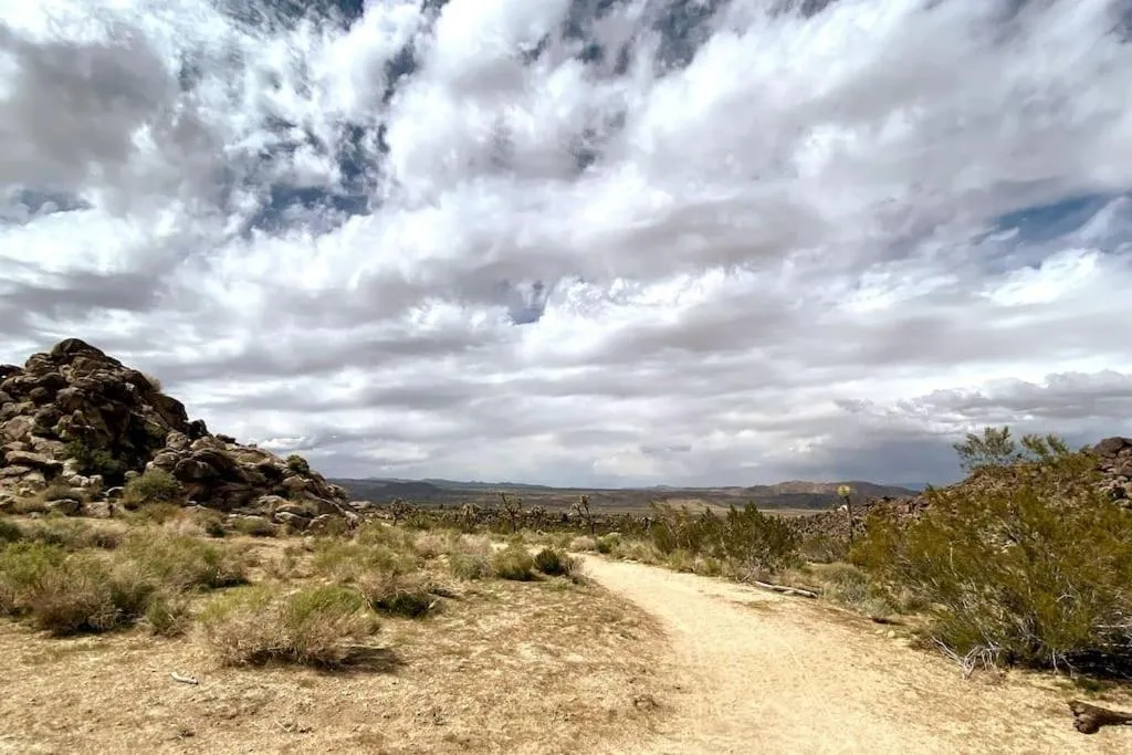 Cozy Rustic Home minutes to Joshua Tree Nat'l Park