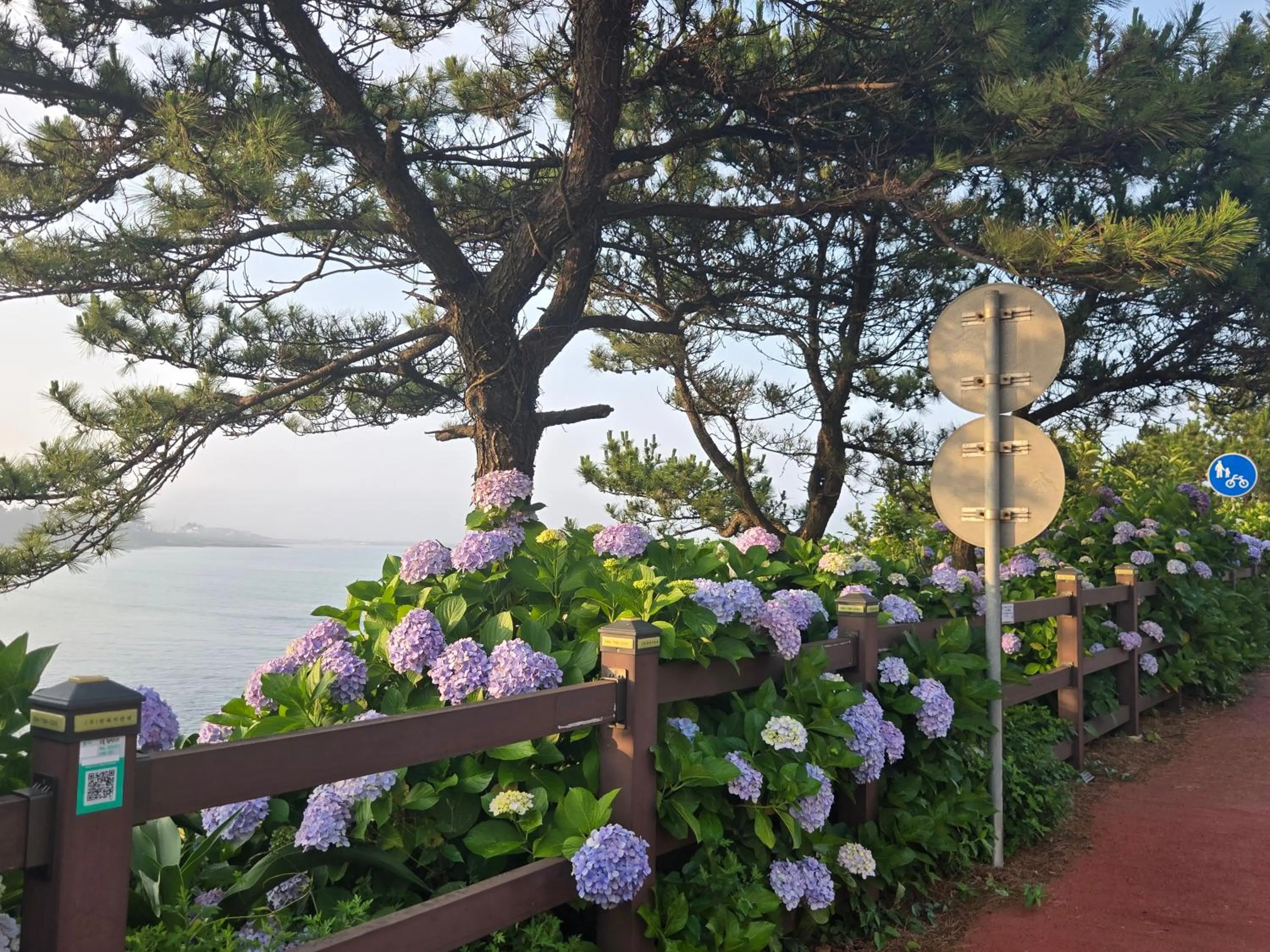 Neighbourhood in Jeju Gaviota Pension