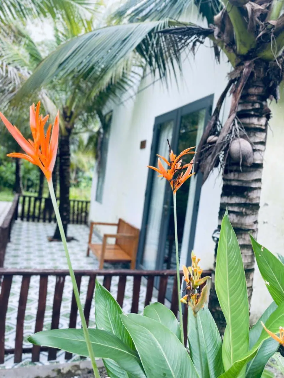 Neighbourhood in Hoang Phuc resort