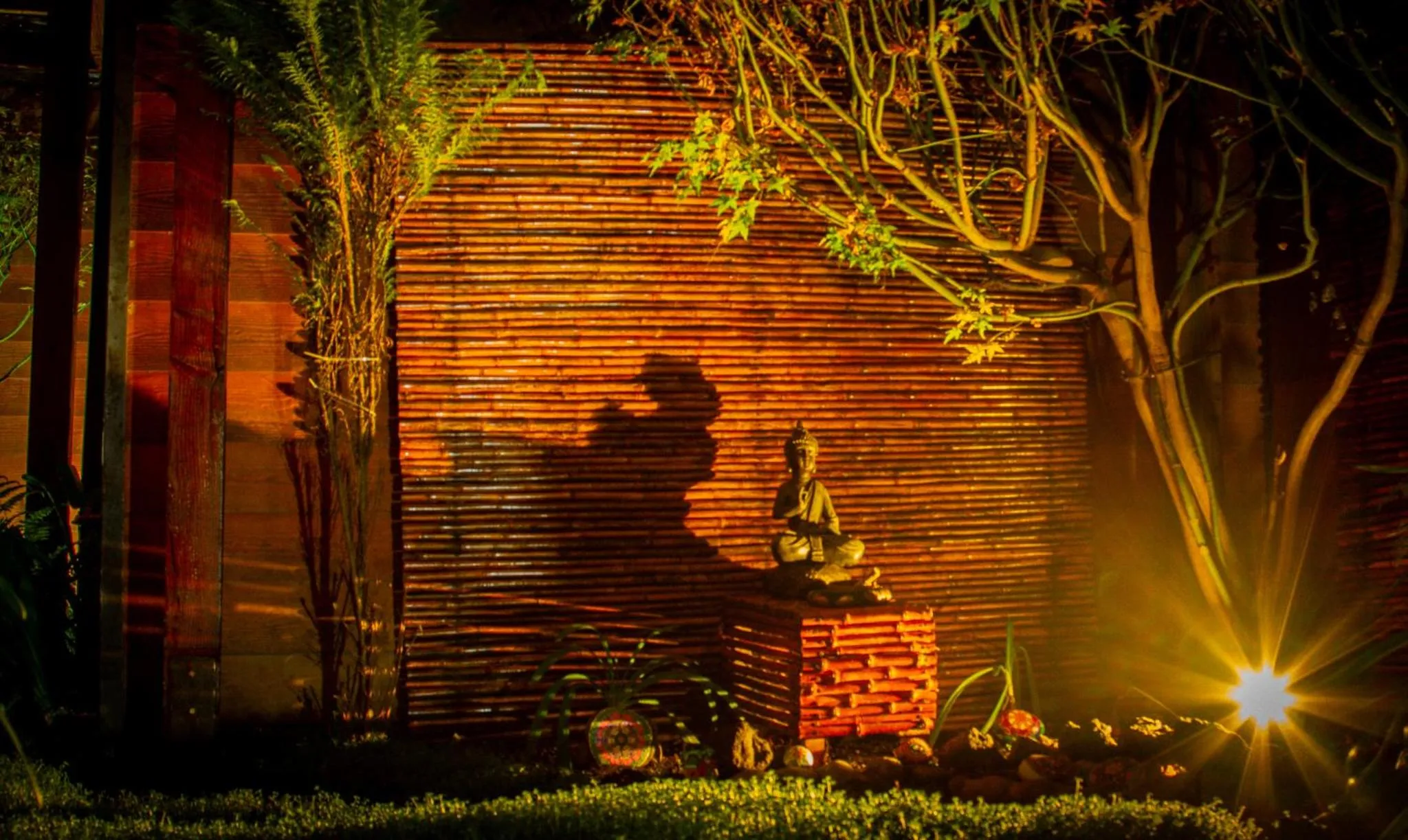 Garden in Hotel Departamentos del Sur