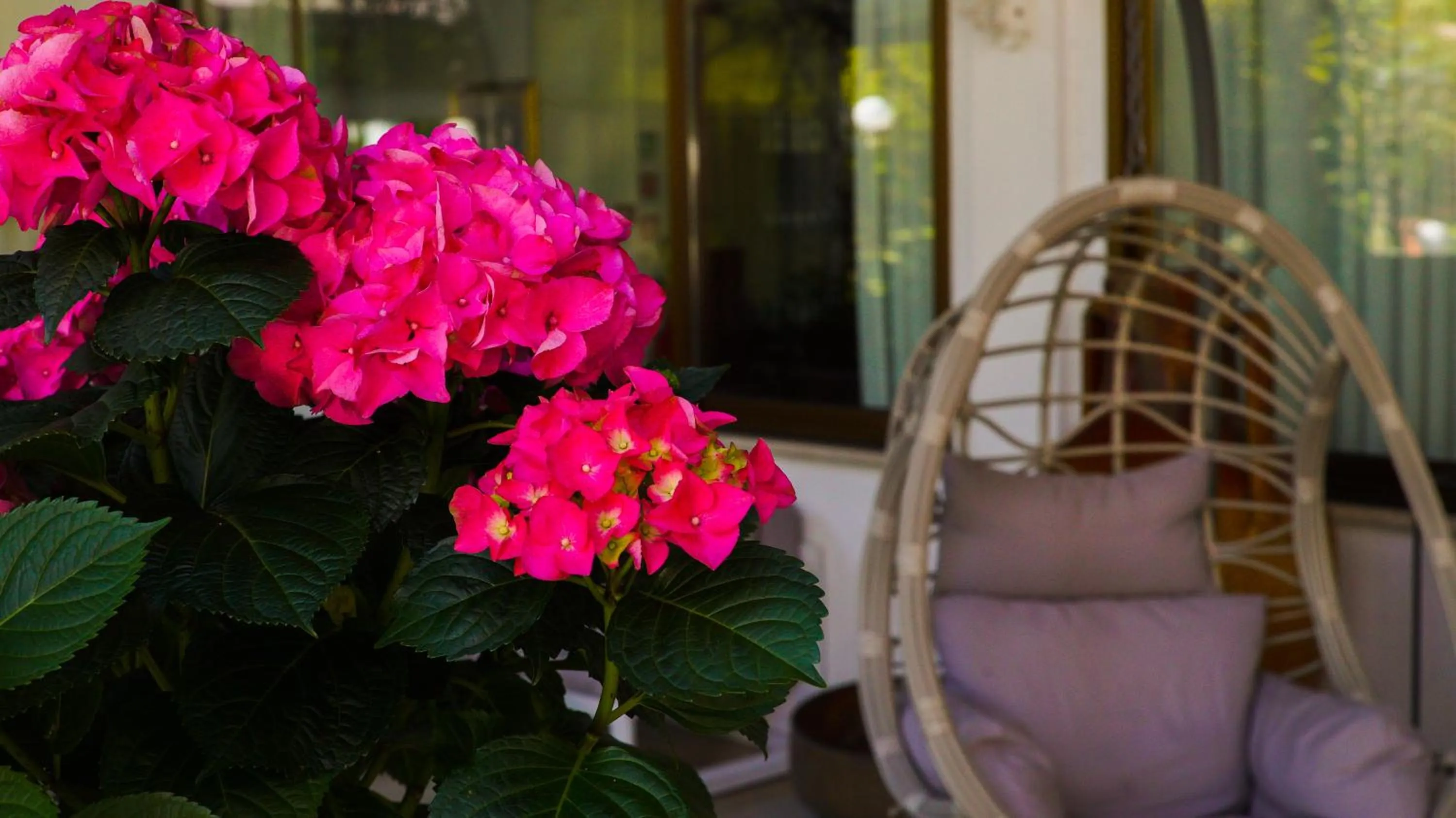 Area and facilities in Bellavista Terme Resort & Spa