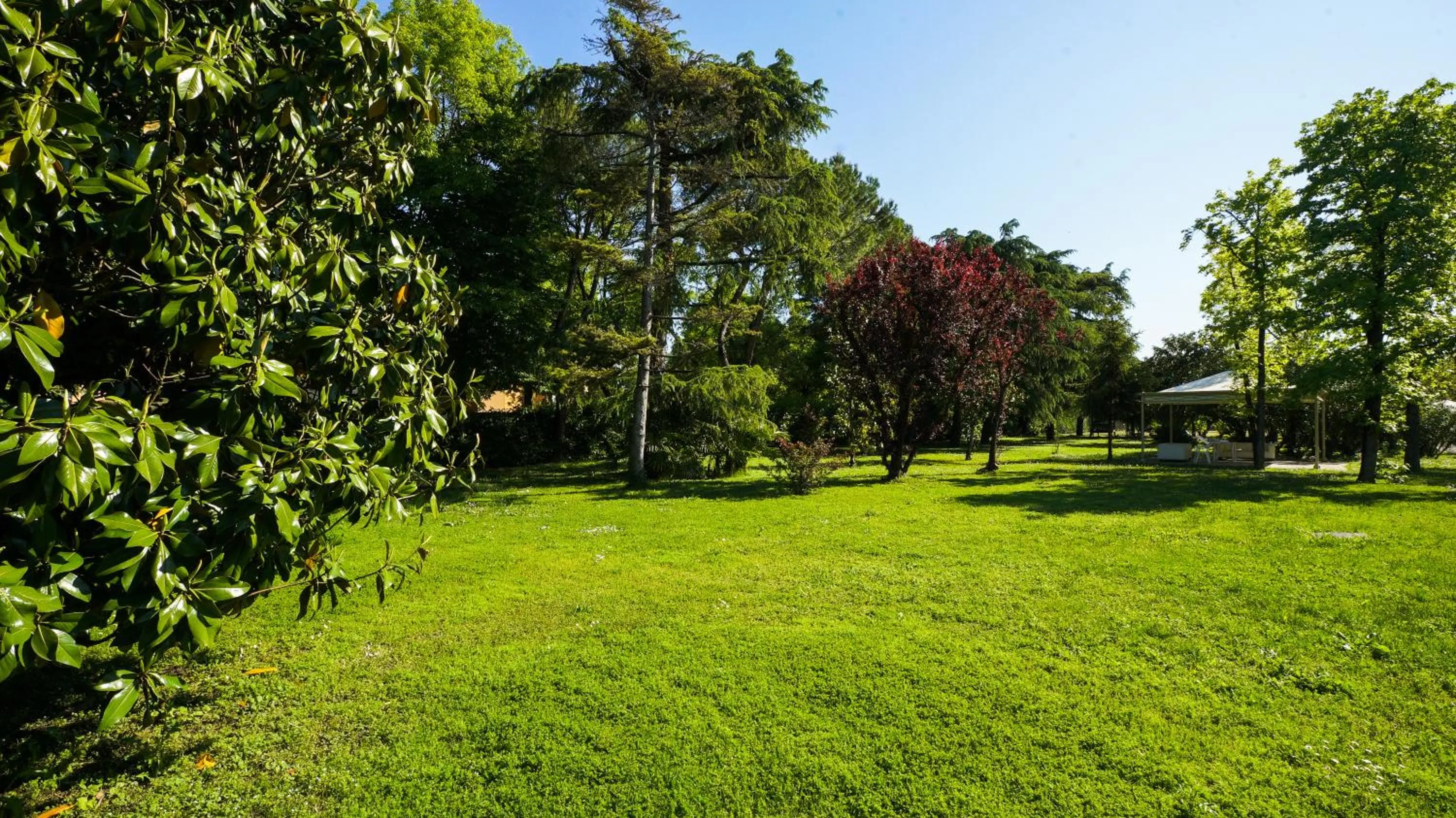 Garden in Bellavista Terme Resort & Spa