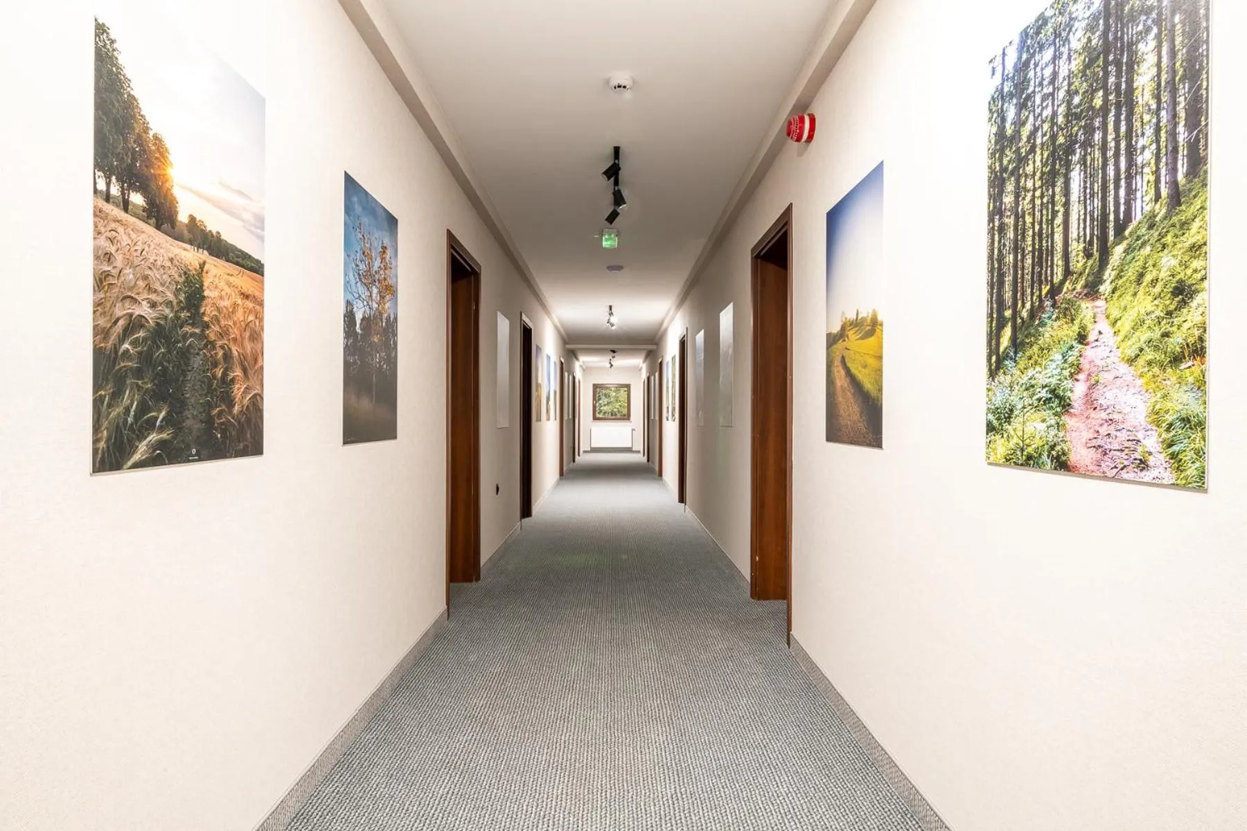 Property building in Hotel Vestina