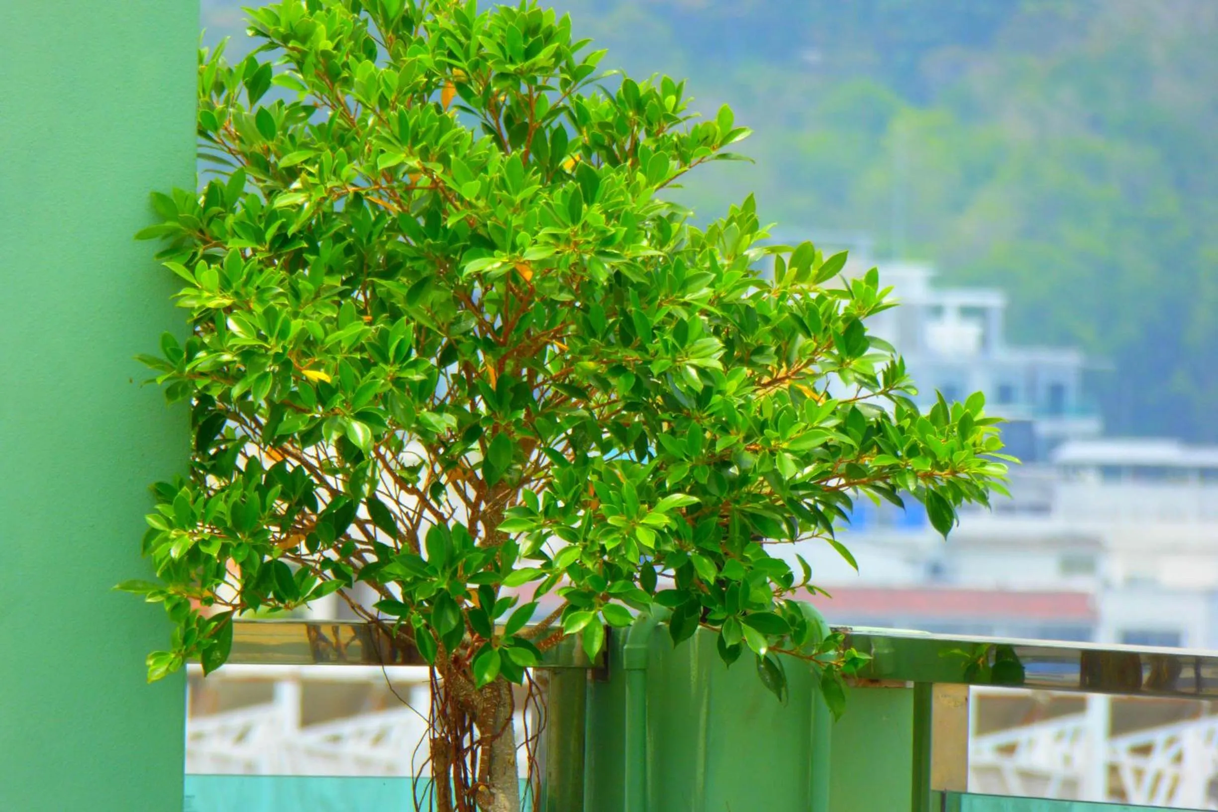 Other in Add Plus Hotel & SPA