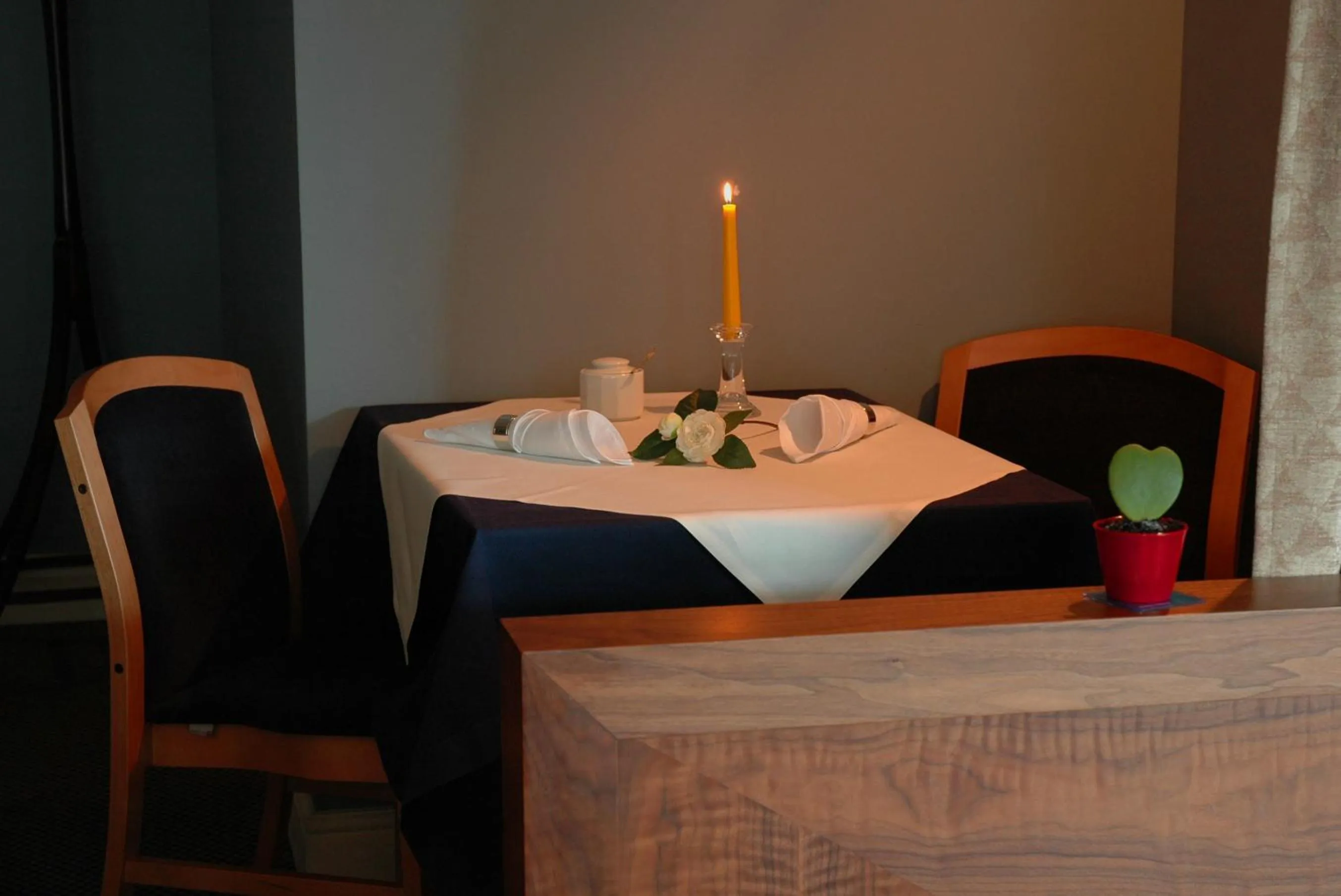 Food and drinks in Grot Hotel