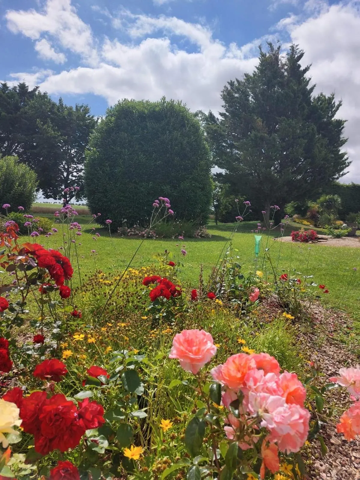 Property building in lagalerne