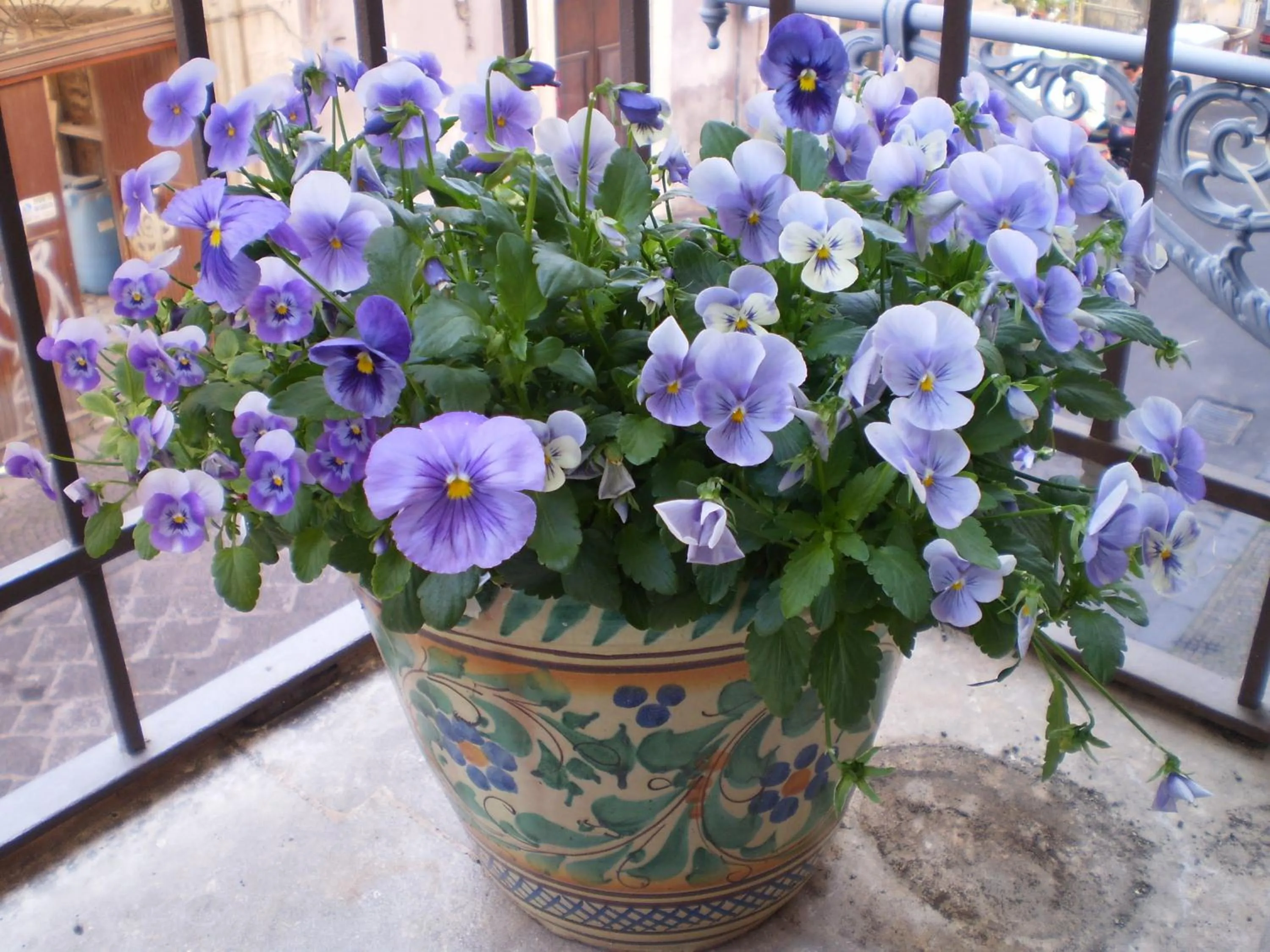 Decorative detail in Crociferi B&B