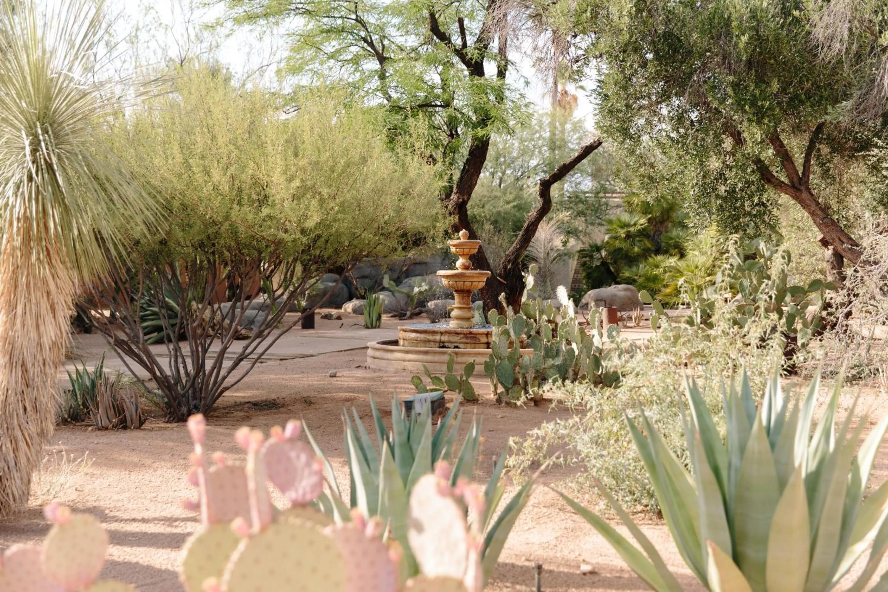 Garden in The JTH Tucson