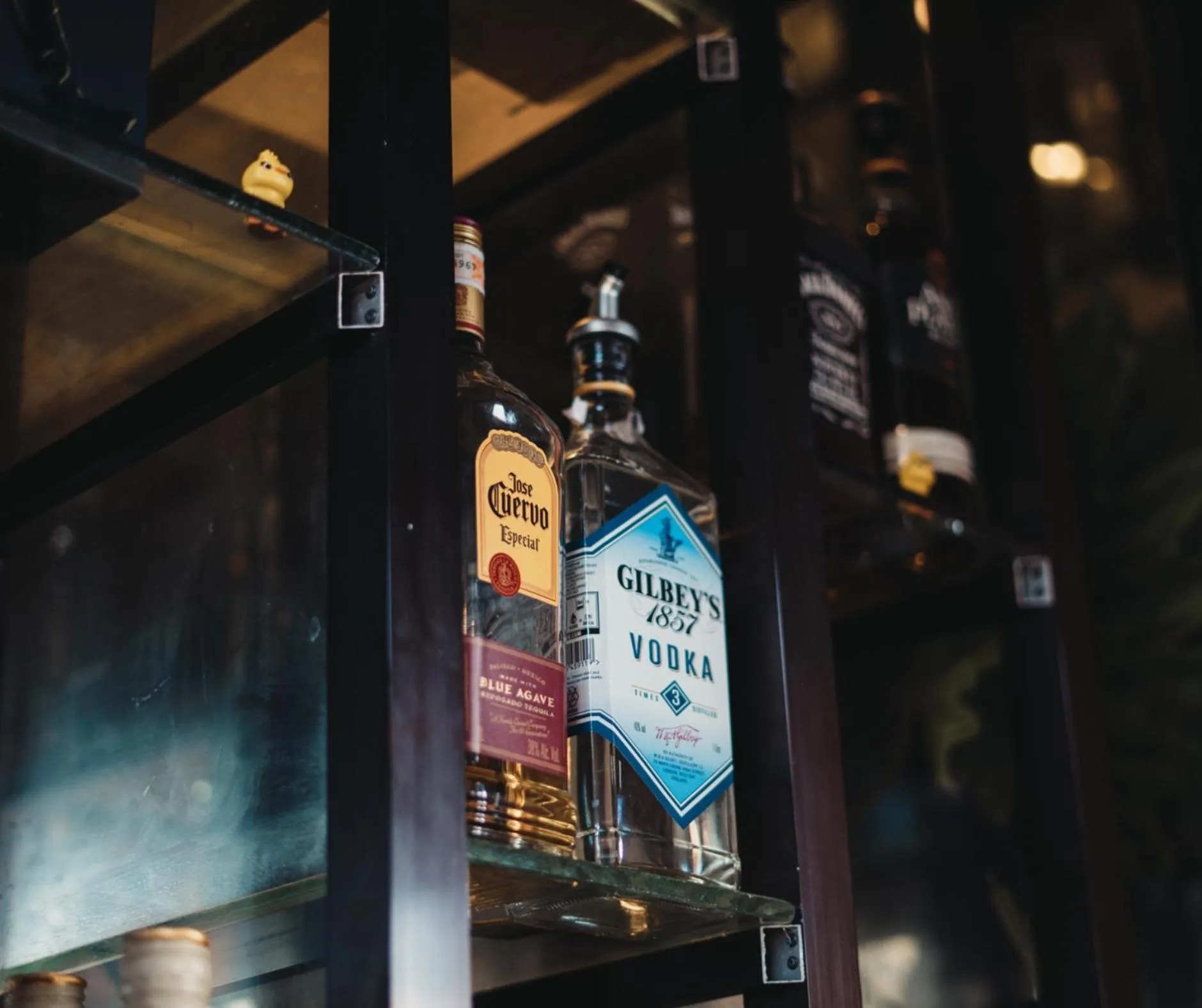 Drinks in The Palms Resort & Bar