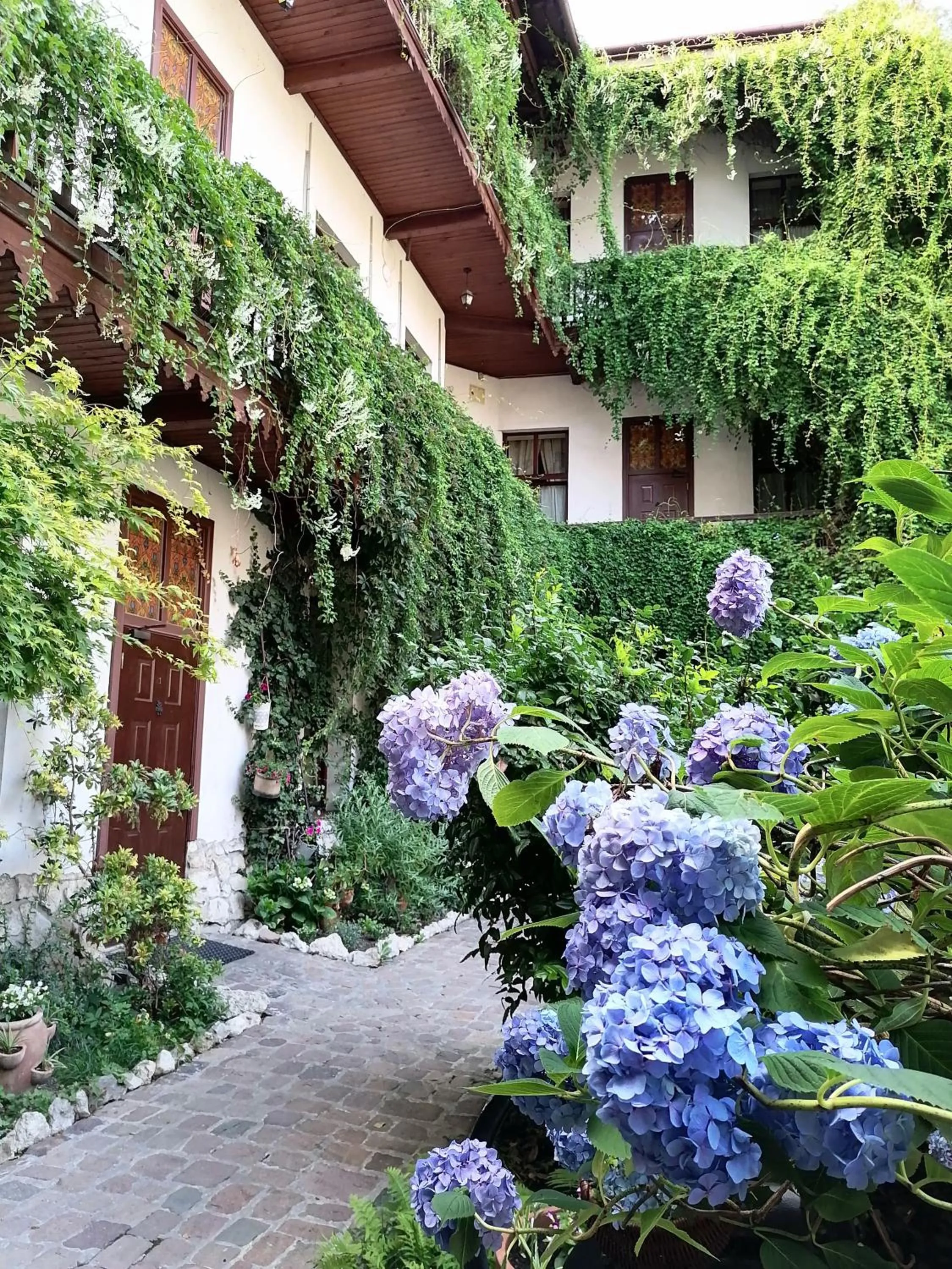 Garden in Globtroter Guest House