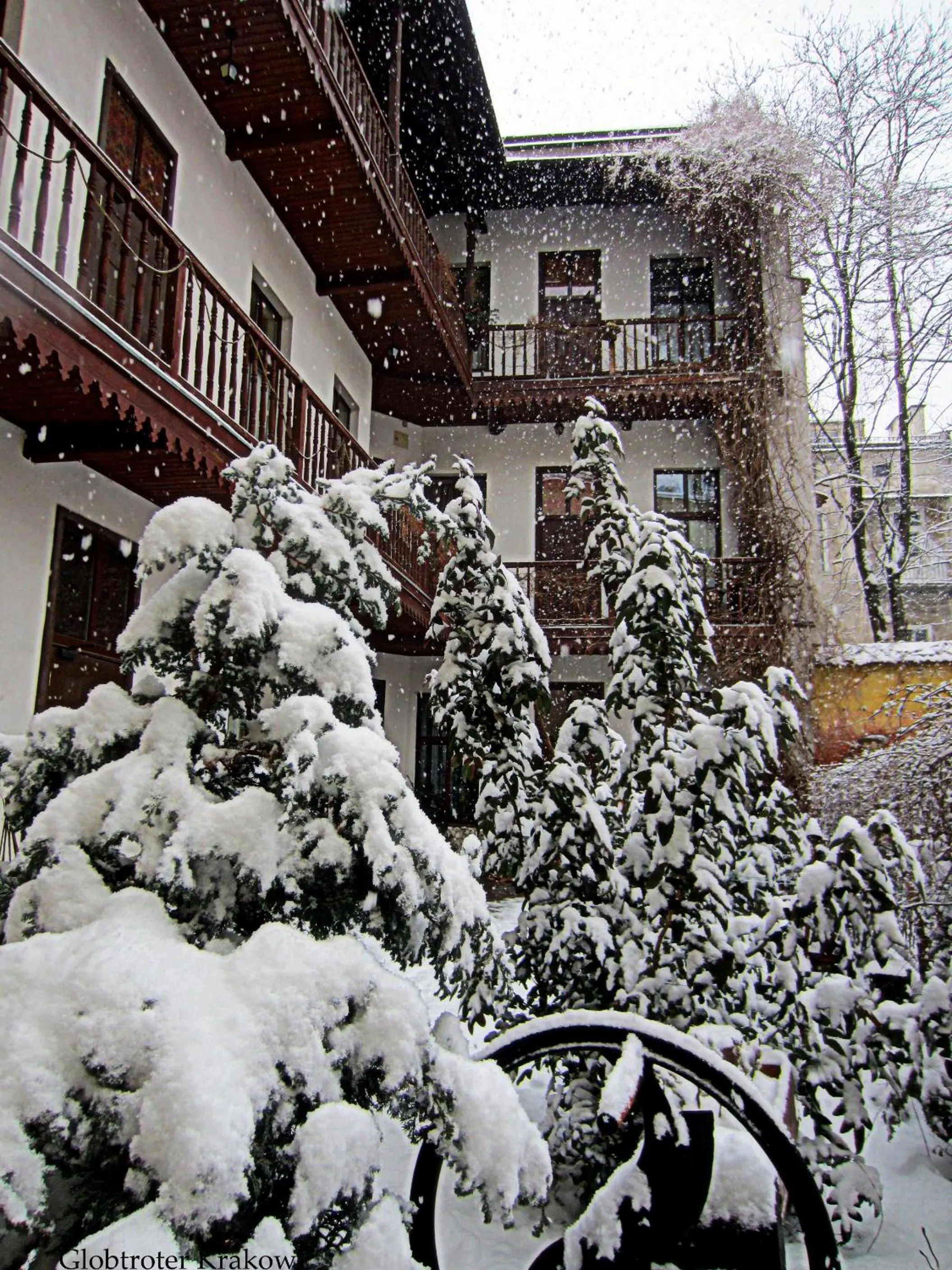 Garden in Globtroter Guest House