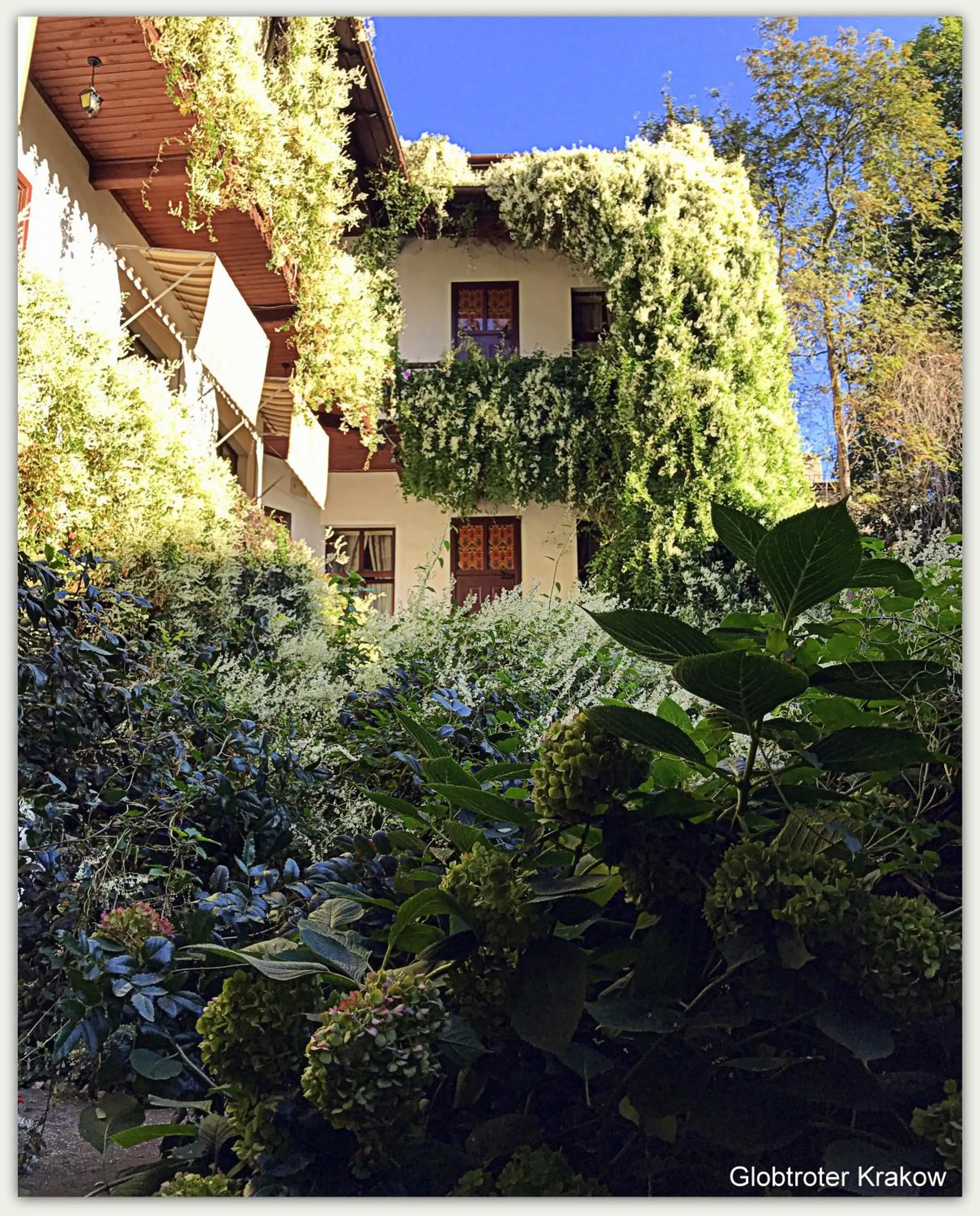 Garden in Globtroter Guest House