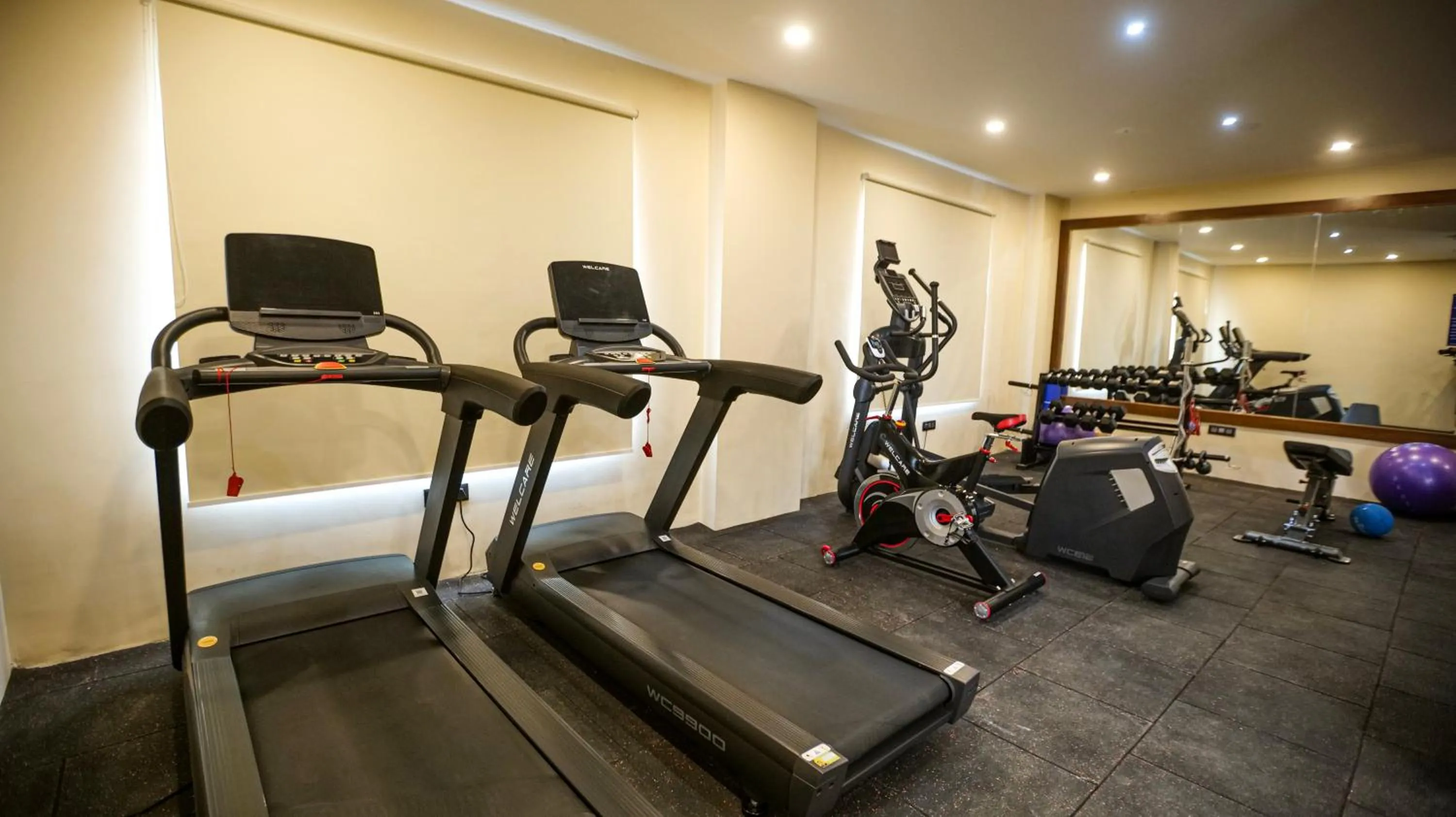 Fitness centre/facilities in Leroy Grand - Yeshwanthpur