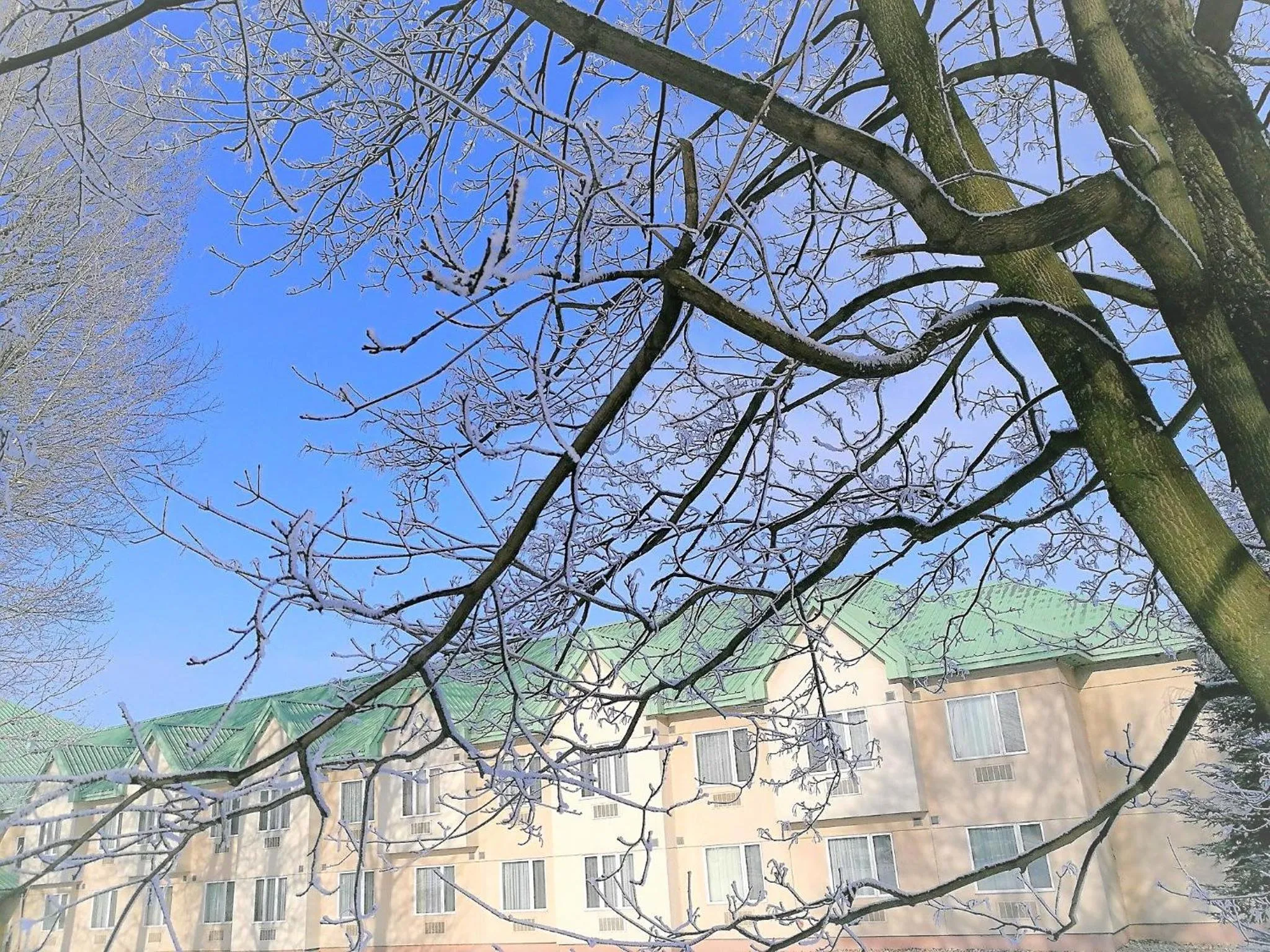 Natural landscape in Hotel HP Park Poznań Malta