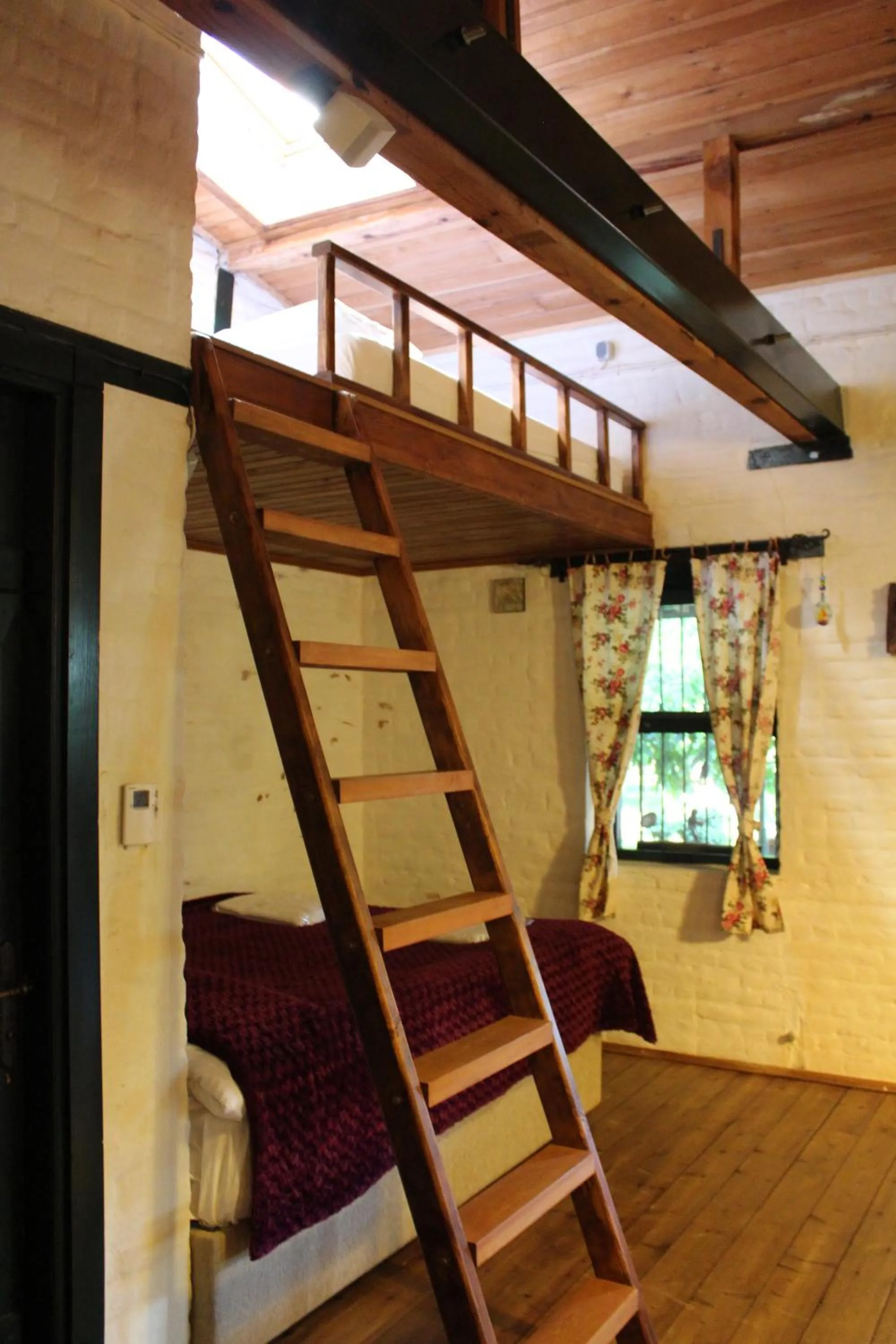 bunk bed in Ephesus Lodge