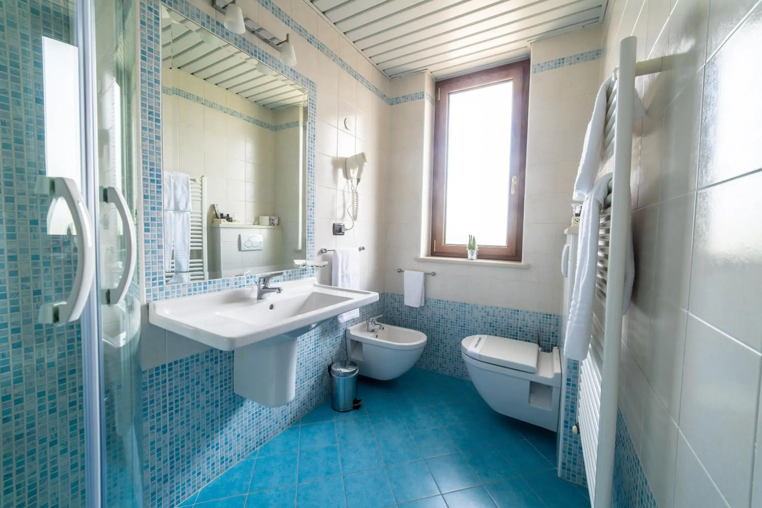 Business Double Room - single occupancy in Hotel Gardenia Business Double Room - single occupancy in Hotel Gardenia