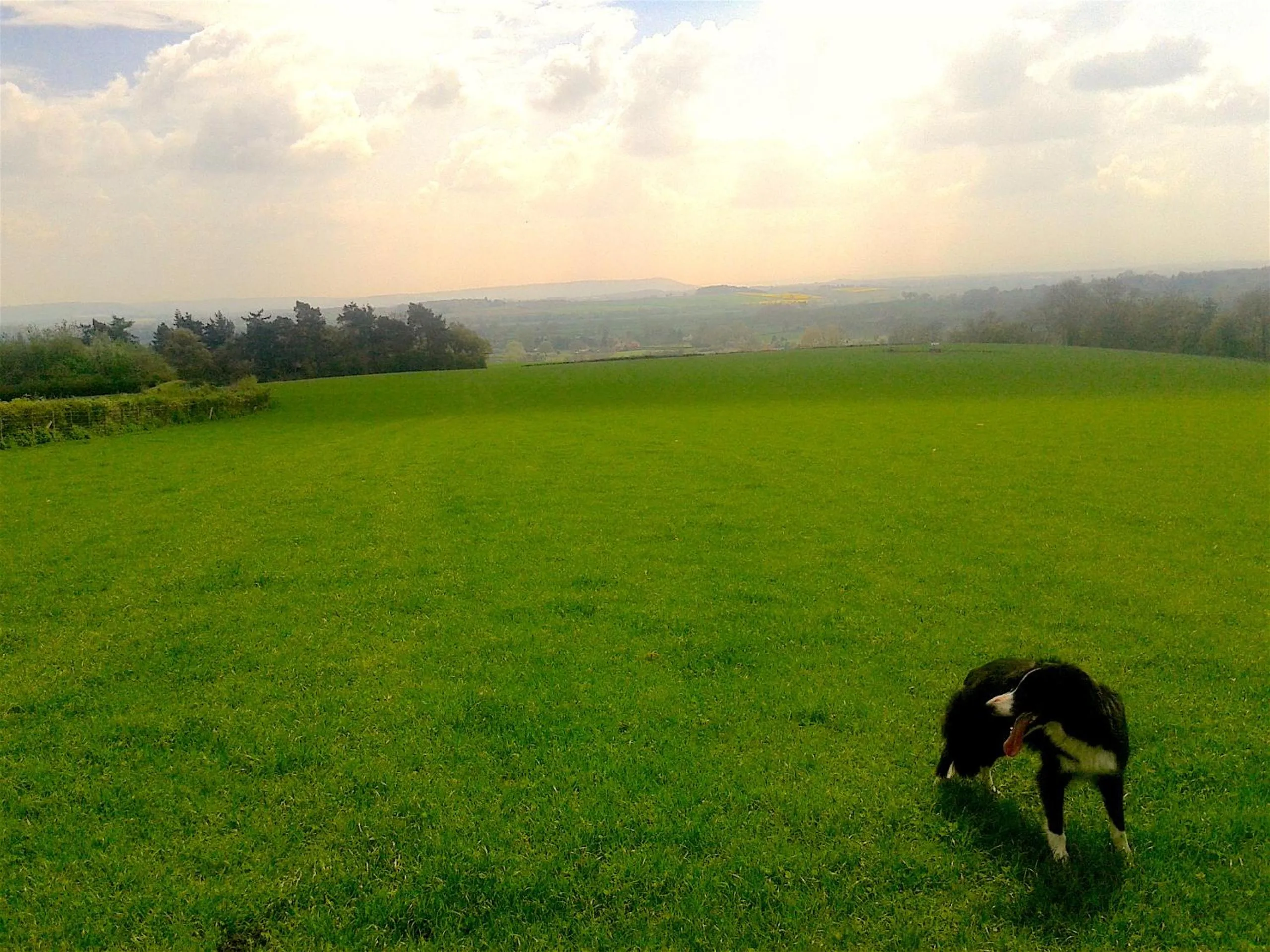 Hiking in Mortimer Trail B and B