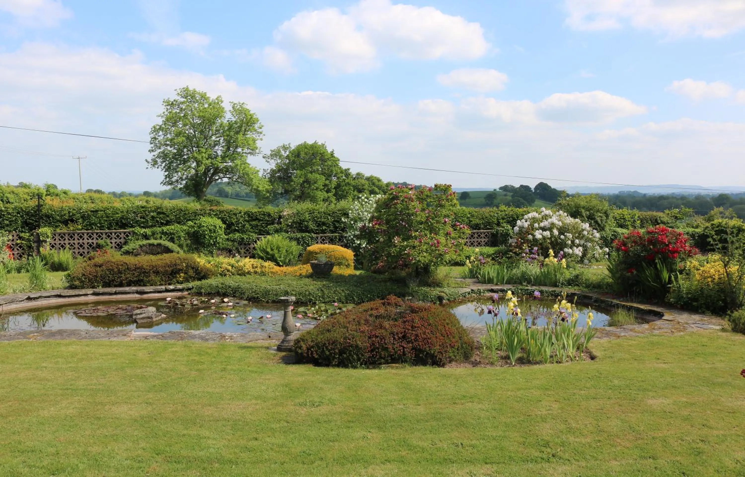 Garden in Mortimer Trail B and B