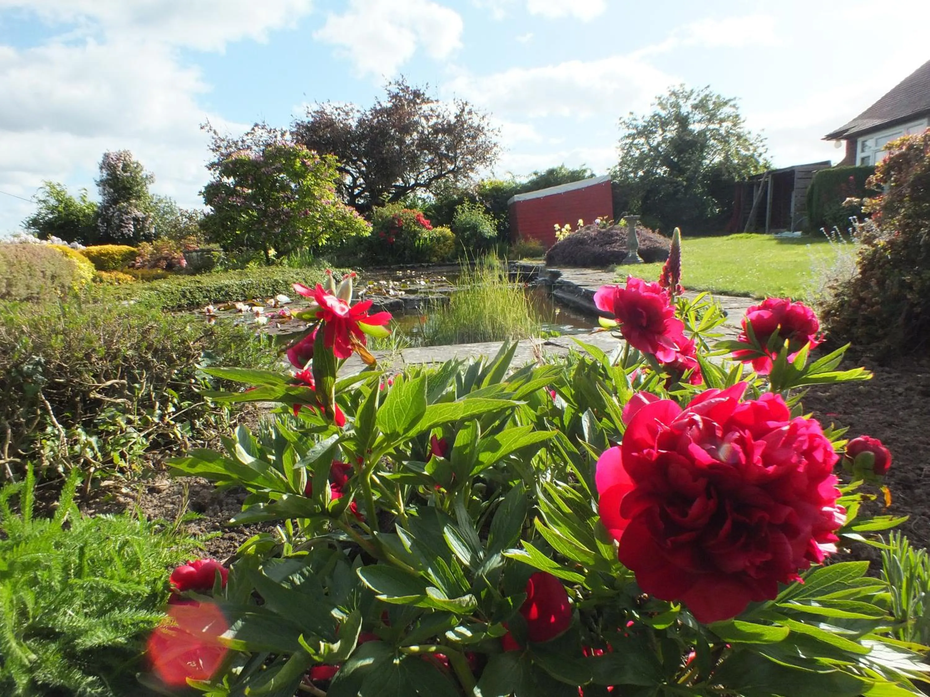 Garden in Mortimer Trail B and B