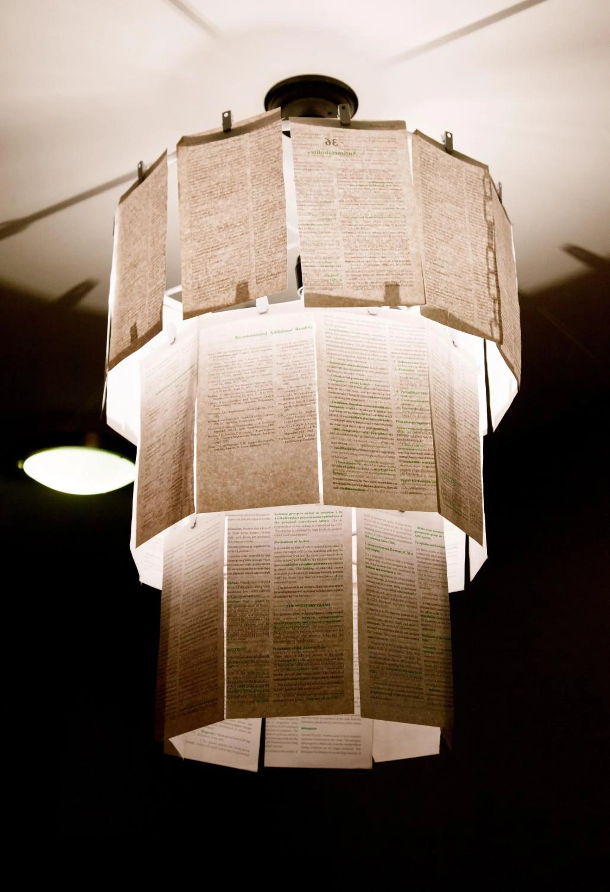 Decorative detail in The Salmon Inn