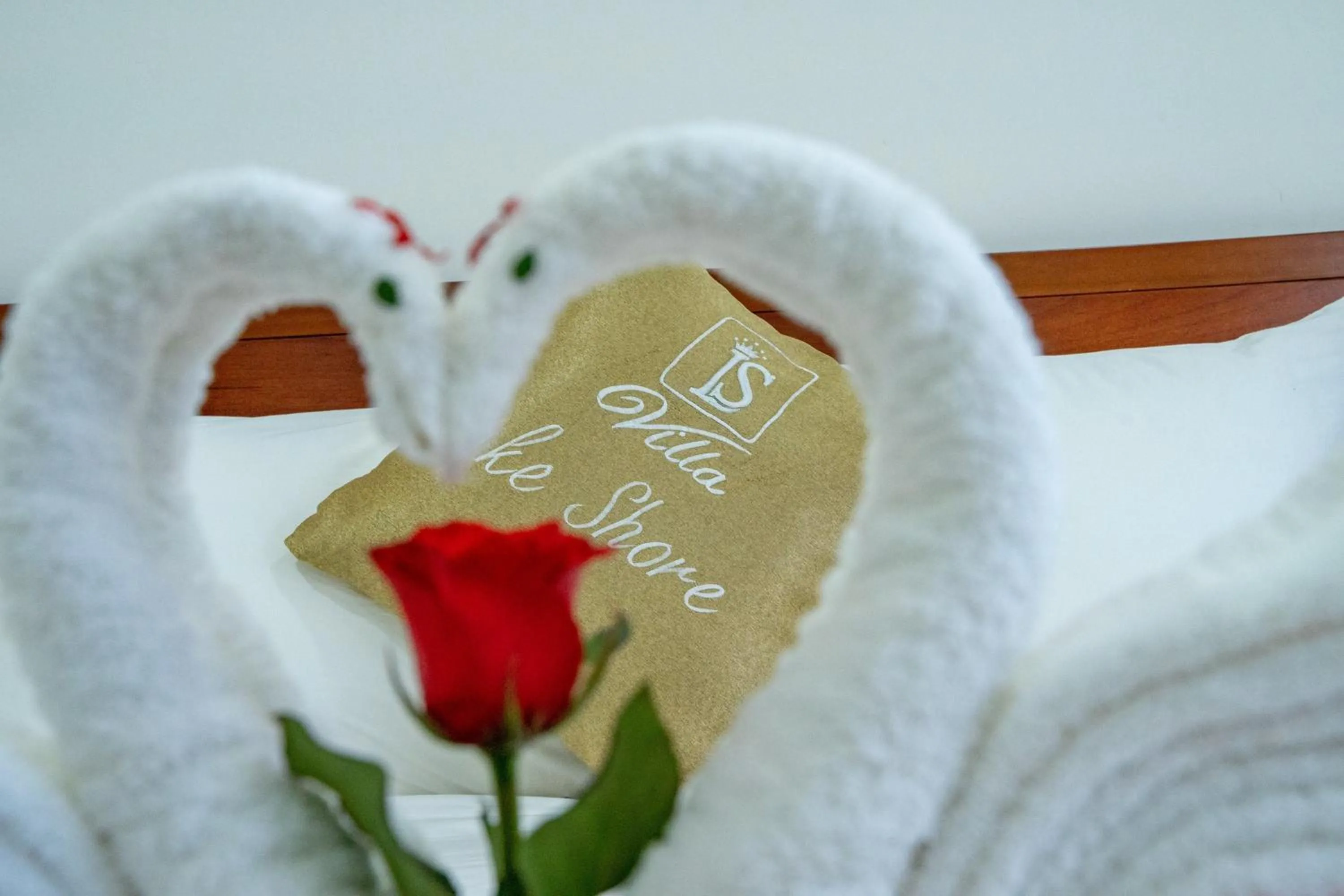 Decorative detail in Villa Lake Shore Hoi An