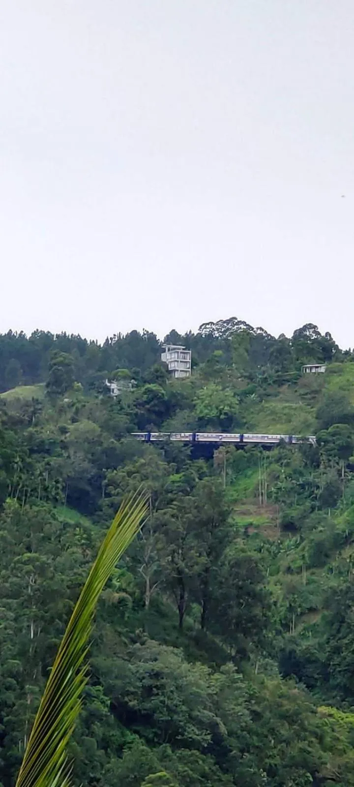 Day in Country Homes