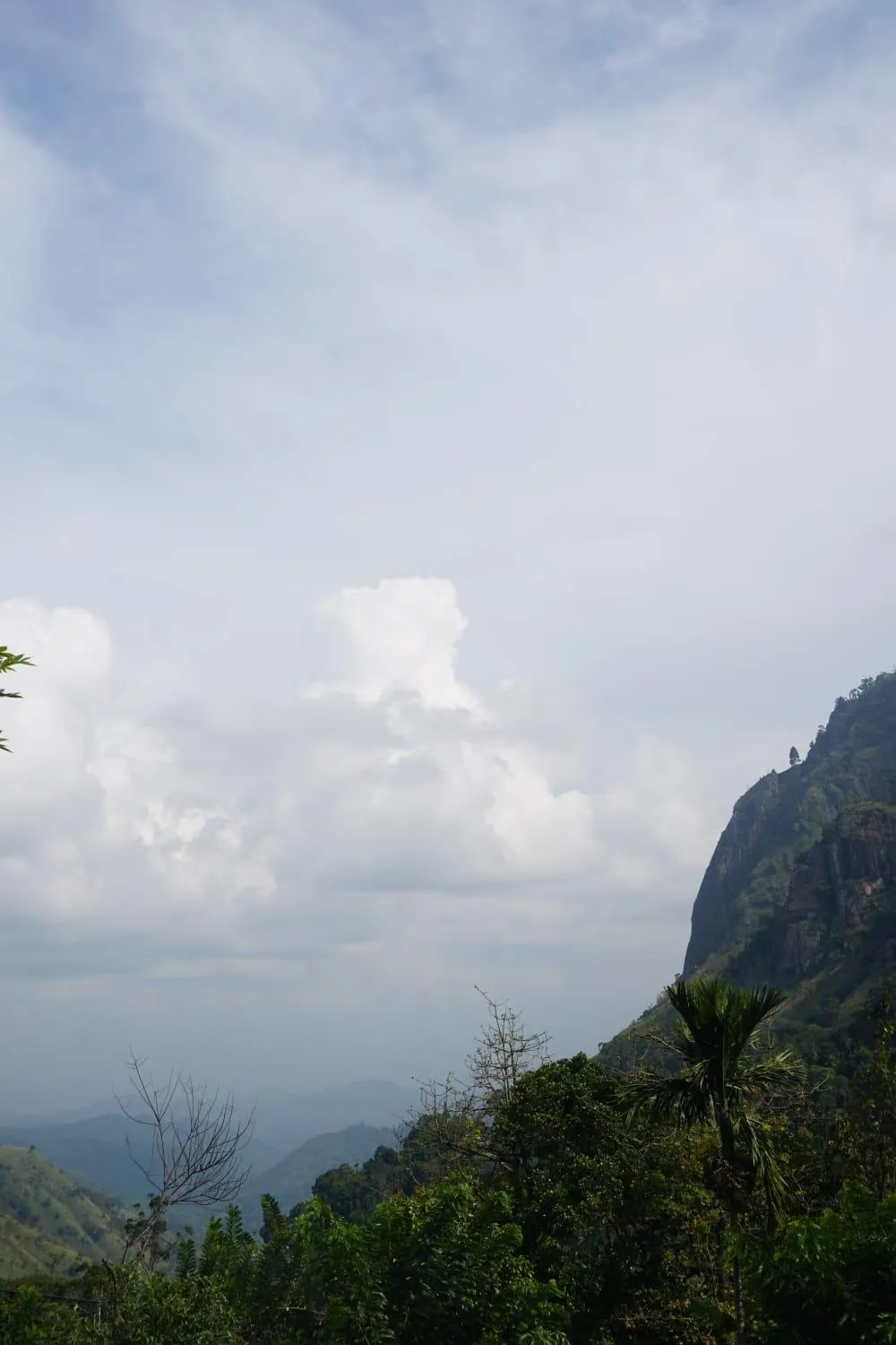 Mountain view in Country Homes