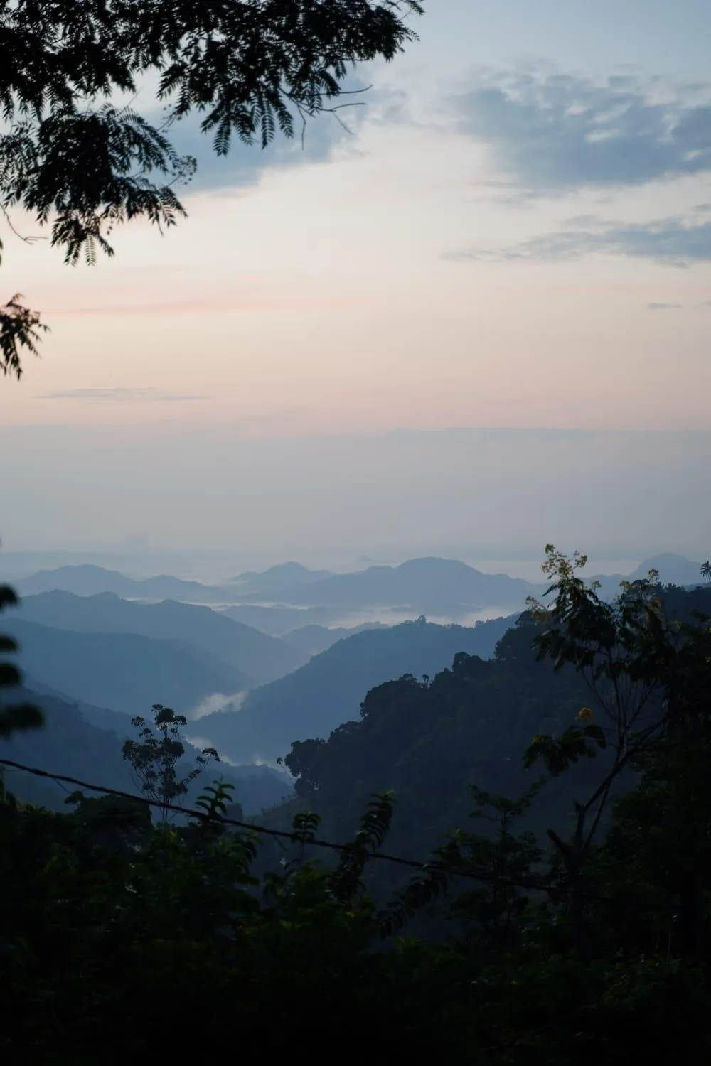 Natural landscape in Country Homes