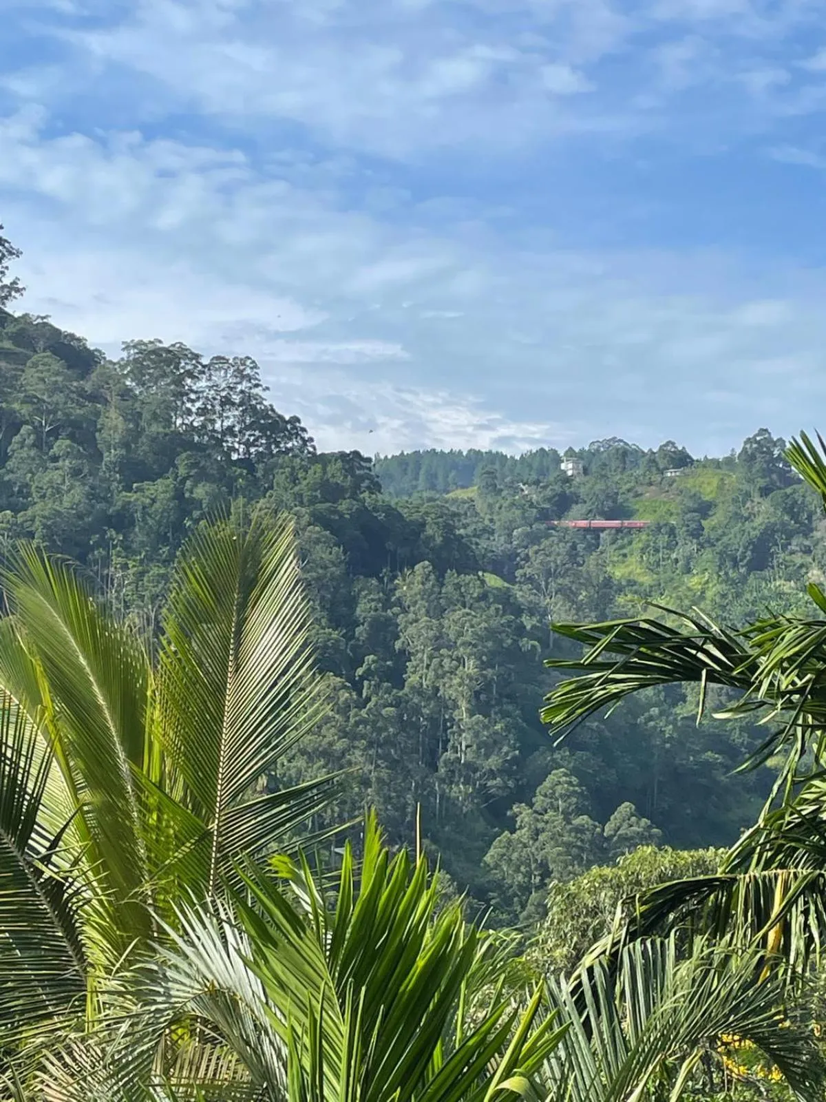 Mountain view in Country Homes