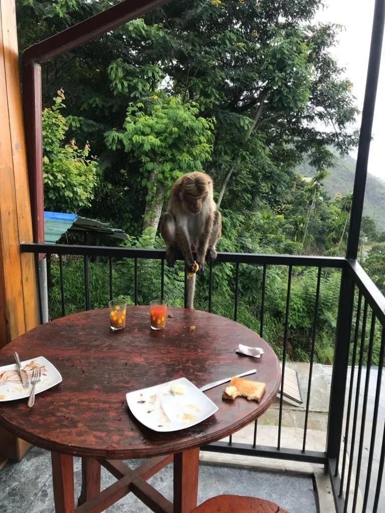 Balcony/Terrace in Country Homes