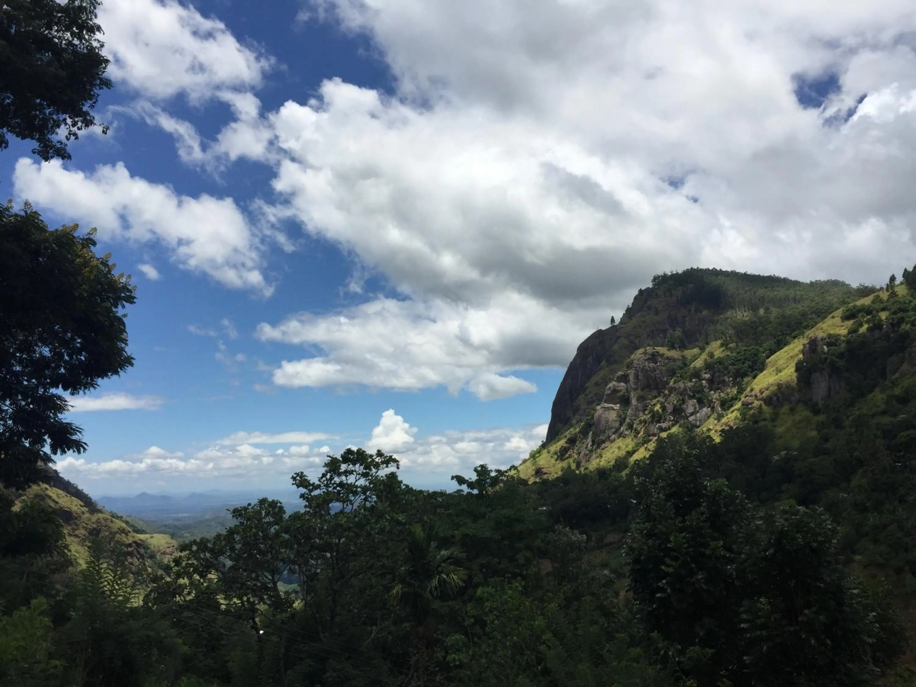Day in Country Homes