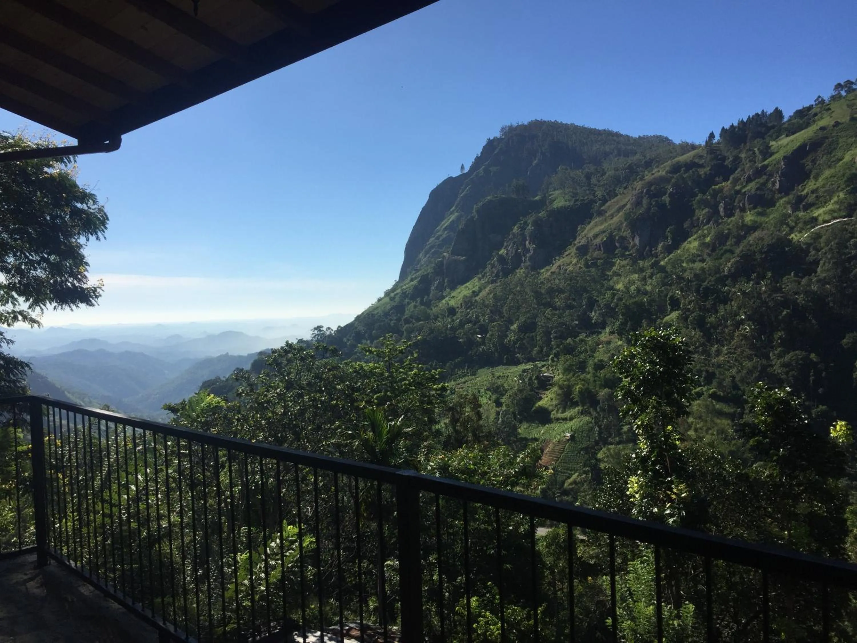 Balcony/Terrace in Country Homes