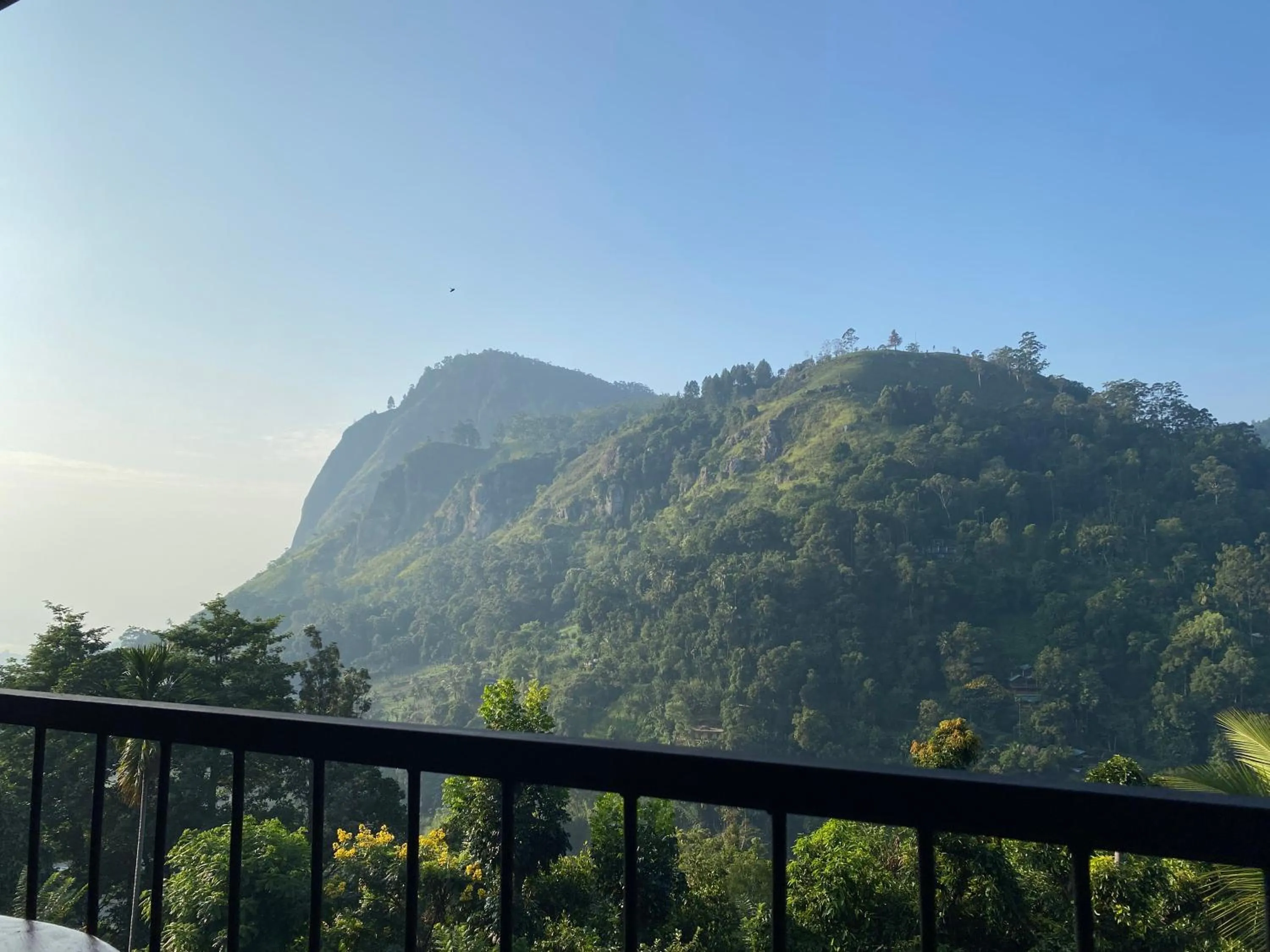 Mountain view in Country Homes